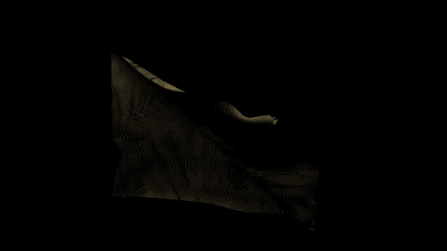 Pattern_Flag_Animation_Smaller.gif