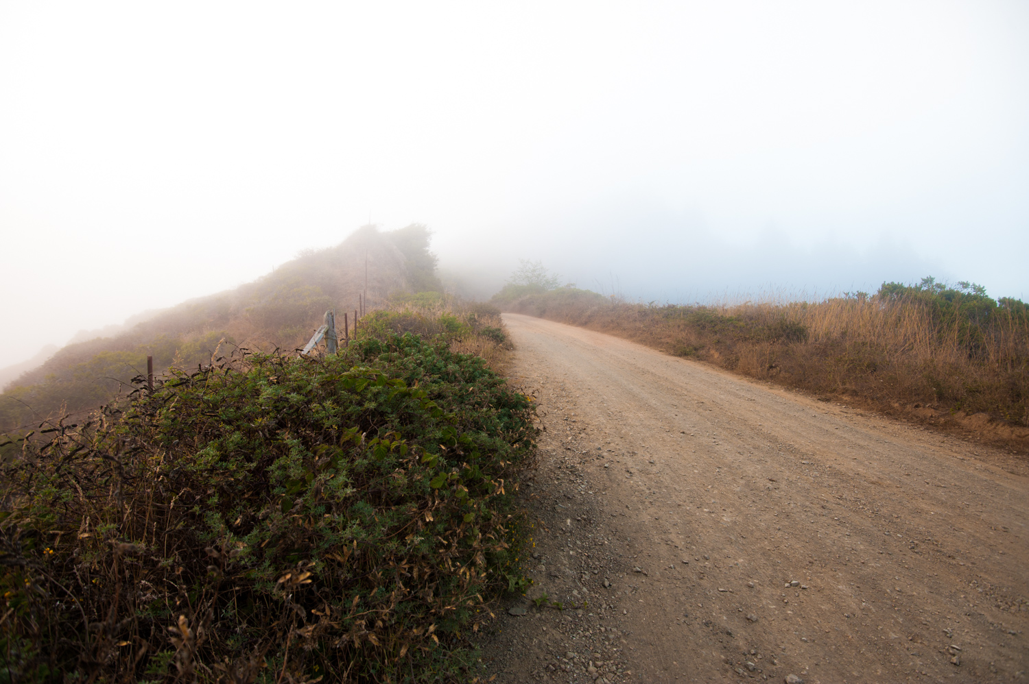 20140727_Road-Lost-Coast_1.jpg