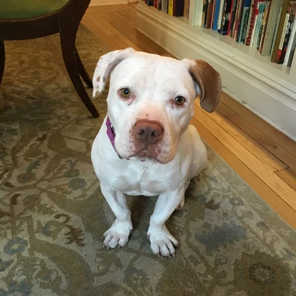 Shortcake, aka “Shorty”