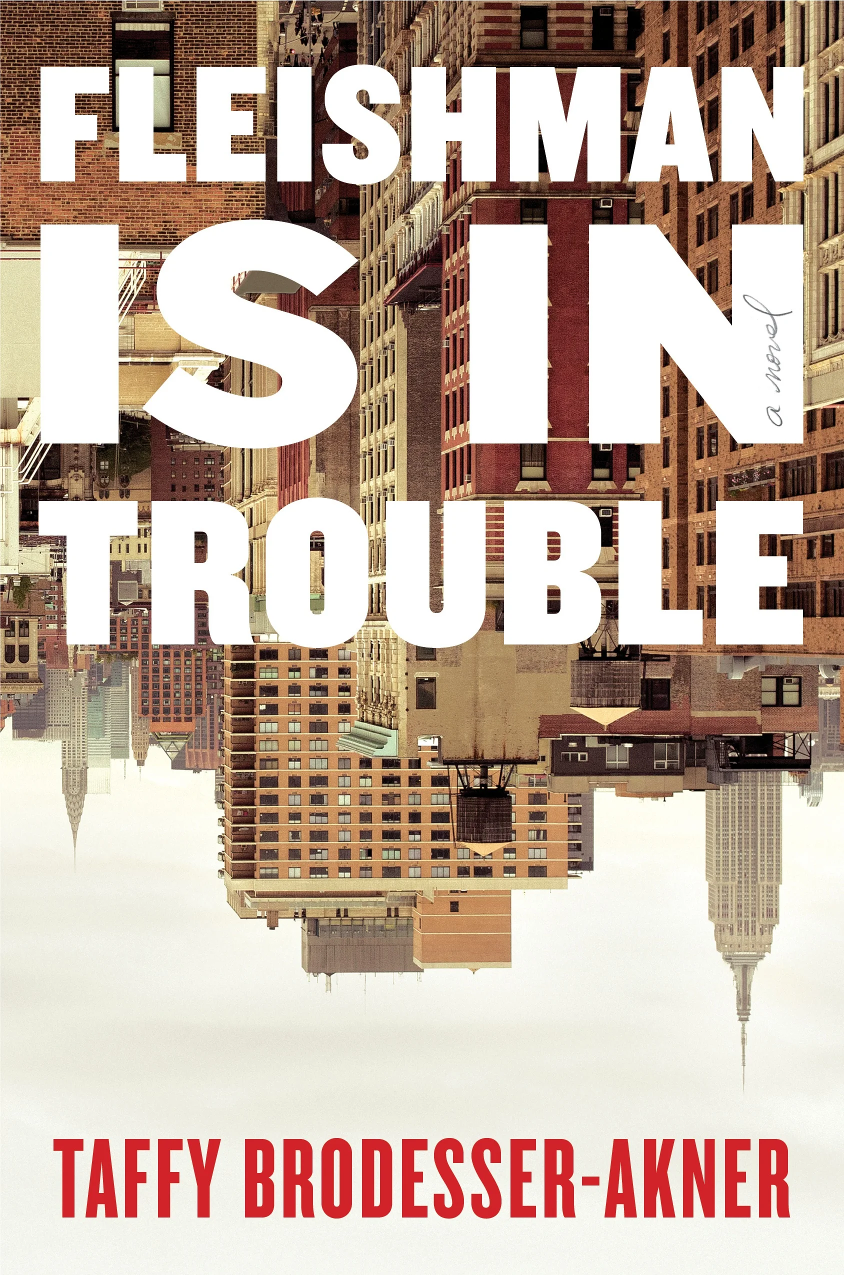 FLEISHMAN IS IN TROUBLE Cover.jpg