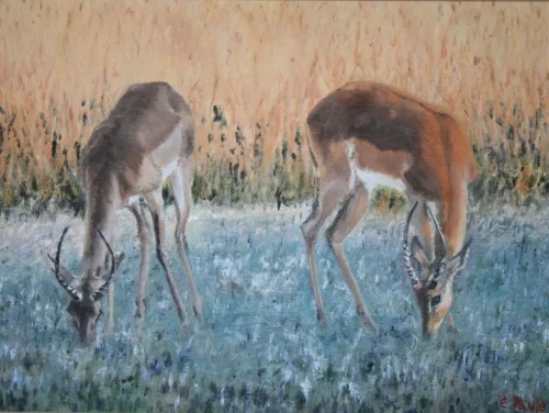 Two Impala 15 x 19 inches. SOLD.