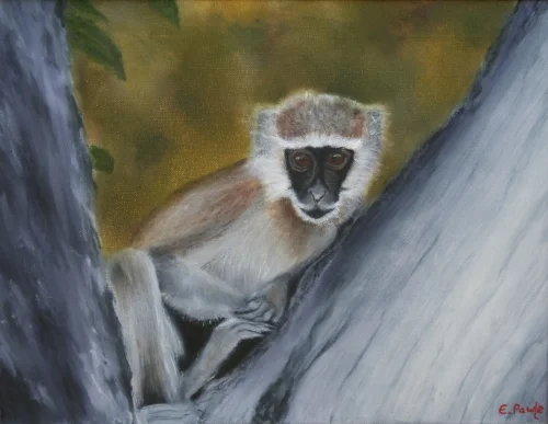 Monkey In Tree 17 x 21 inches