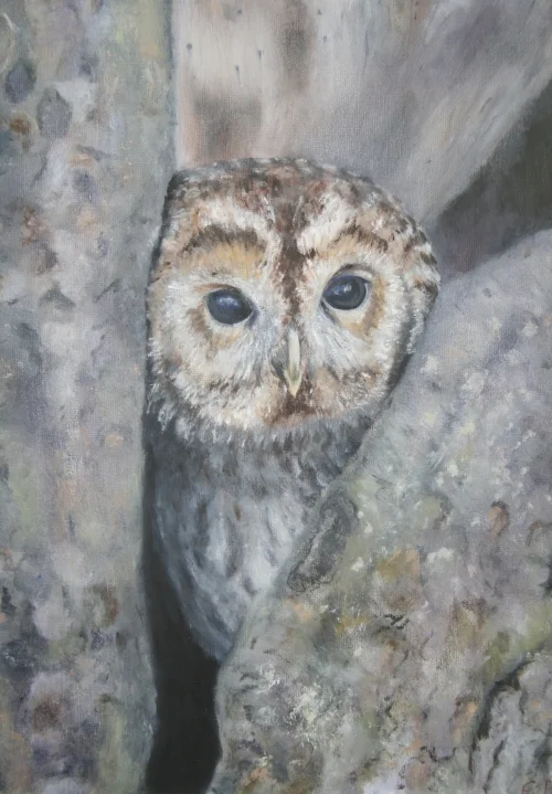 Owl 21 x 17 inches. SOLD.
