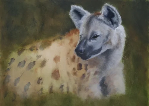 Hyena 19 x 23 inches