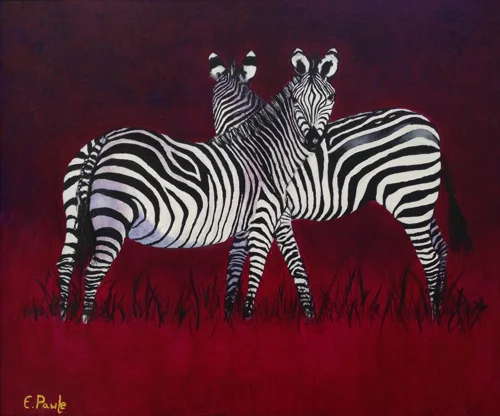 Zebra Crossing (SOLD) 20 x 24 inches (Oil and Acrylic)