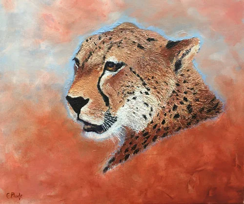 Cheetah 20 x 20 inches