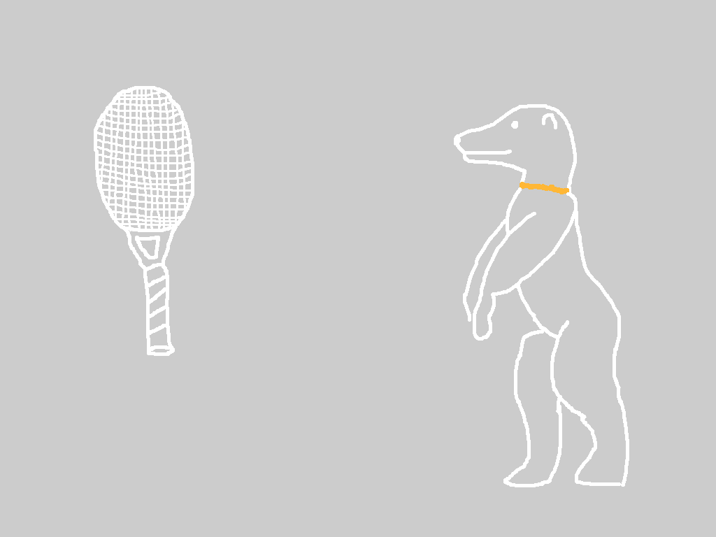 Racket .png