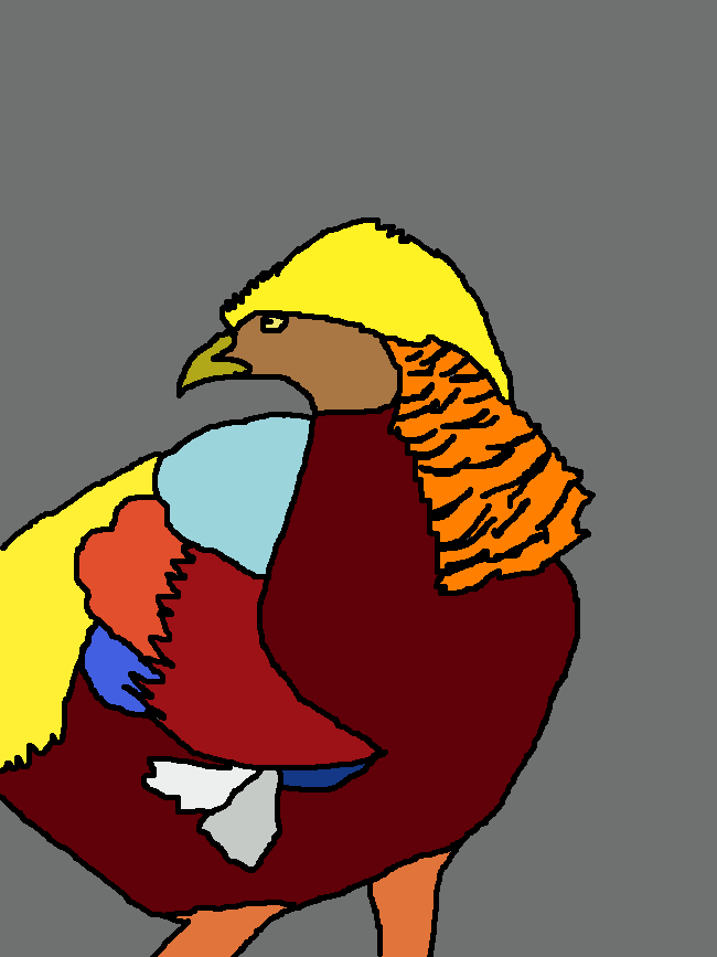 Golen Pheasant 1.png