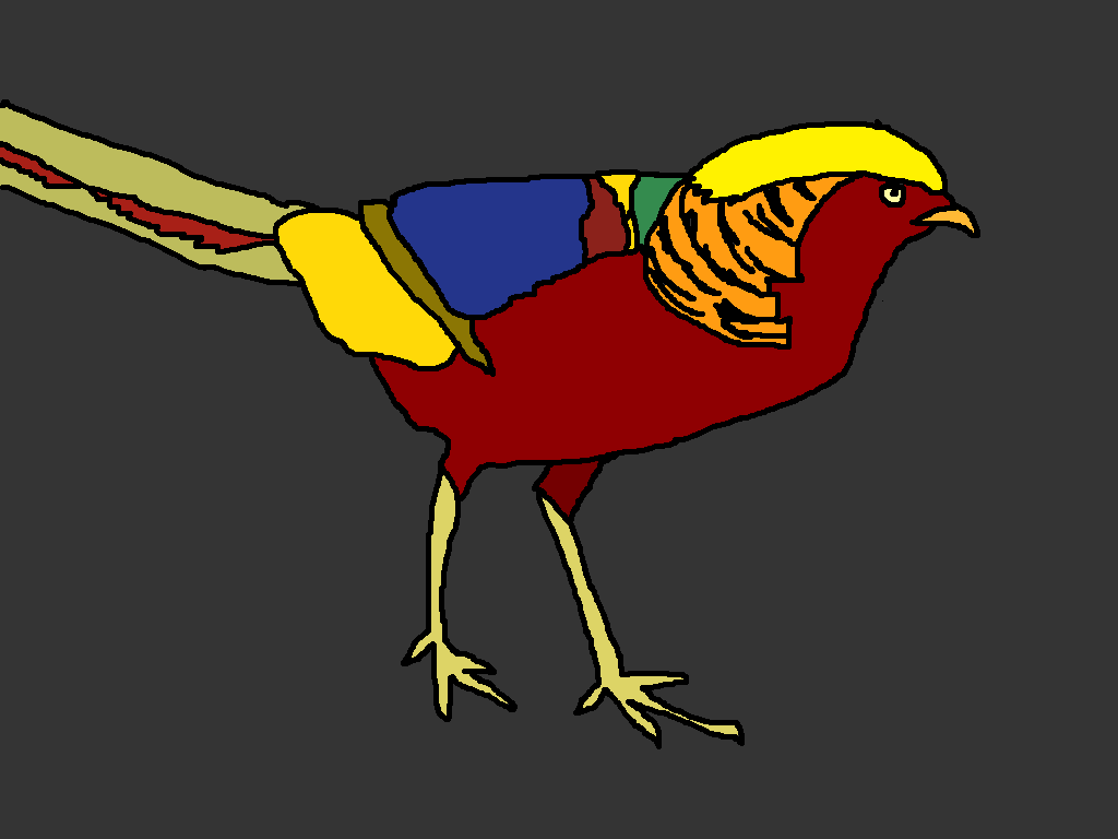 Golden pheasant 2.png
