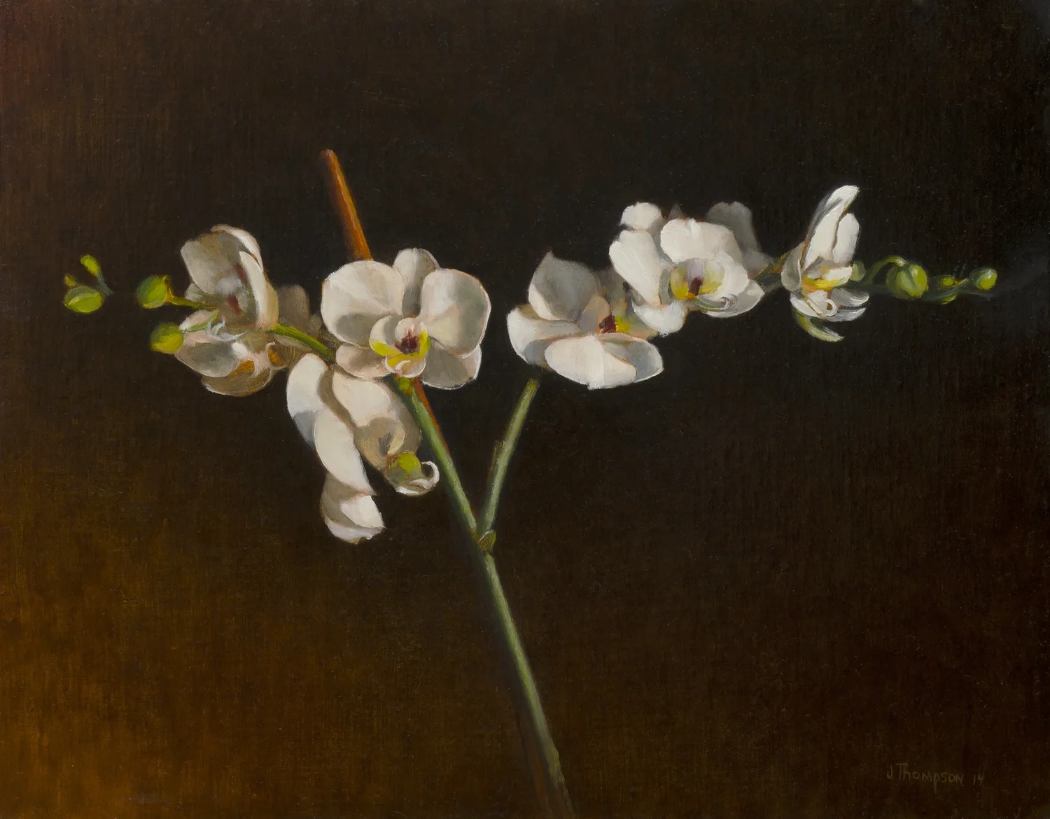 "Full Bloom"