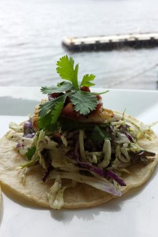 lido bistro pulled pork tacos.jpg
