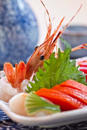 sachi+sashimi.jpg