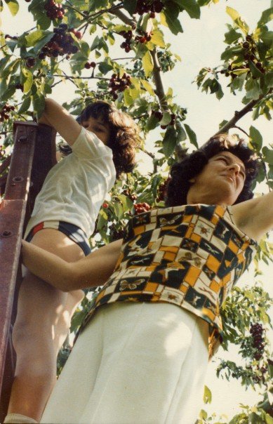 Okanagan fruit picking during summer holidays.