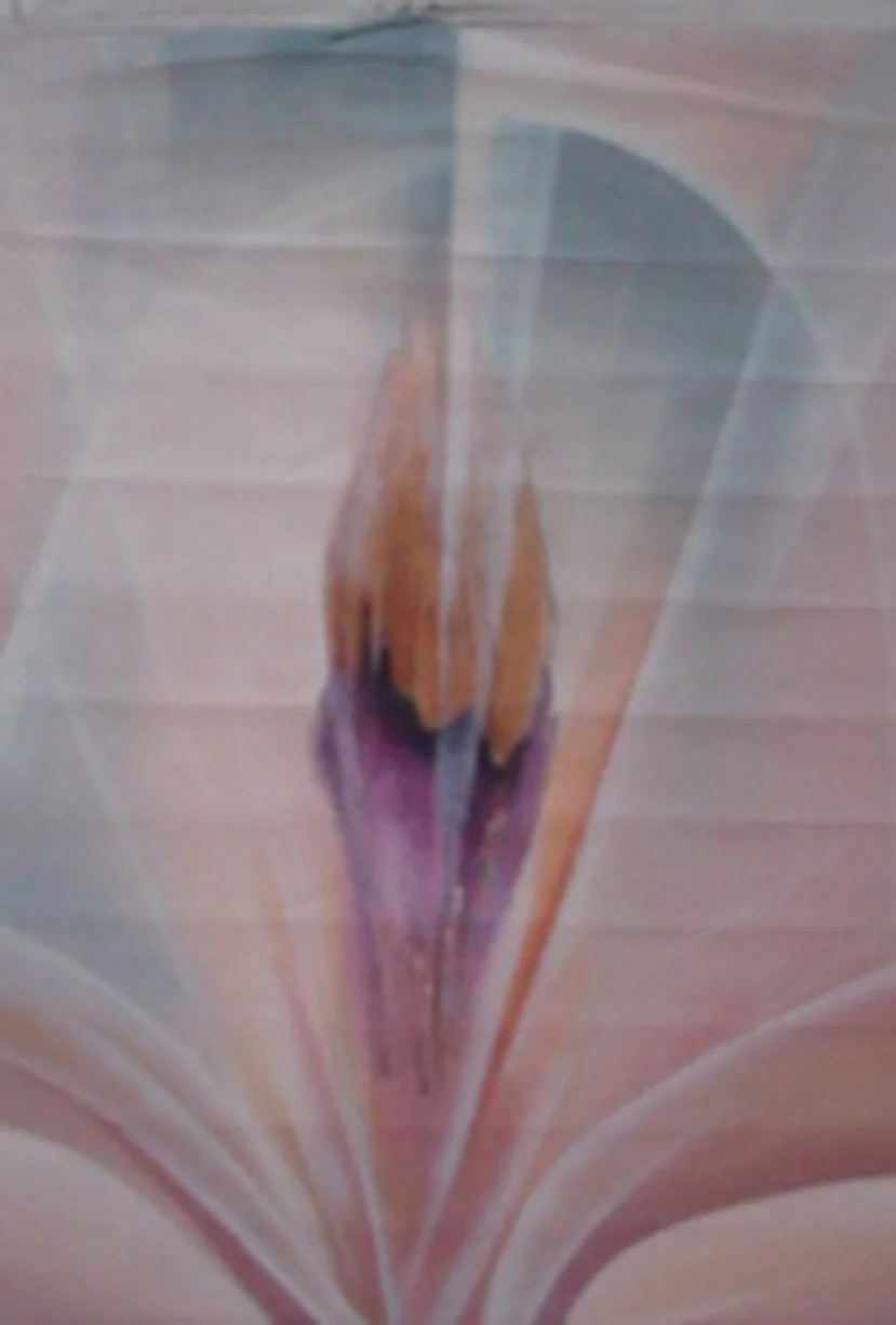 Albers   untitled  40 x 30 in DSC00399.jpg