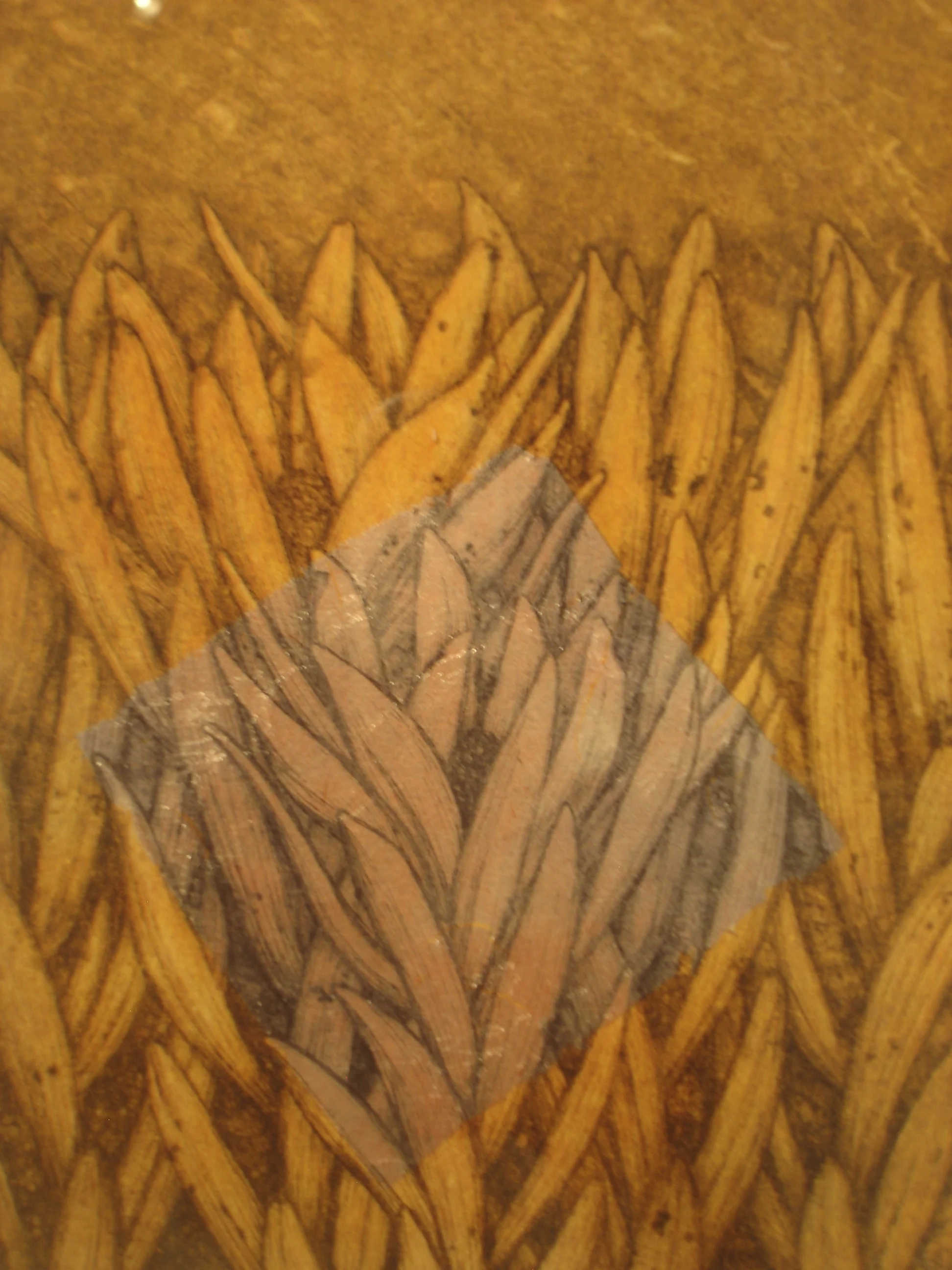 Akemi Nishimura607, A Balld Of a Flower, 9 x 7in.jpg