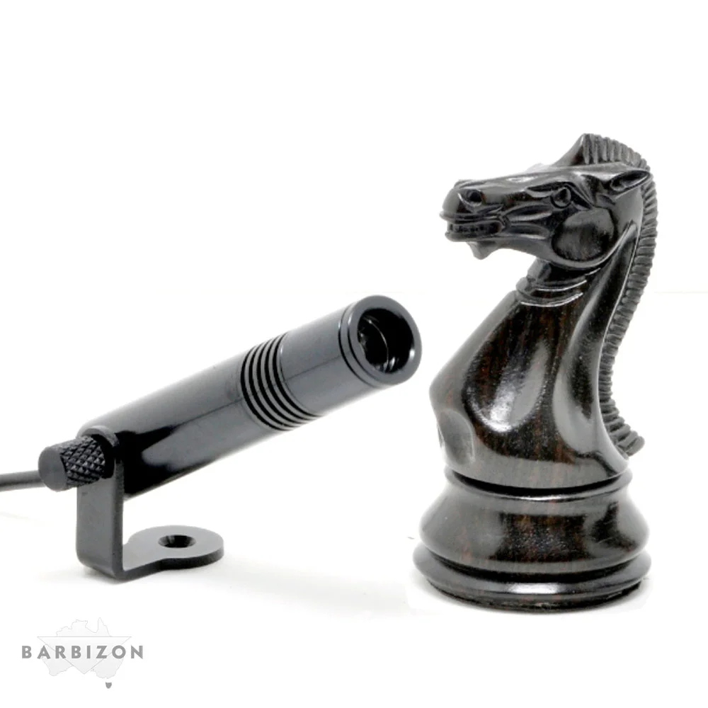 precision_alpha_ with chess piece.jpg