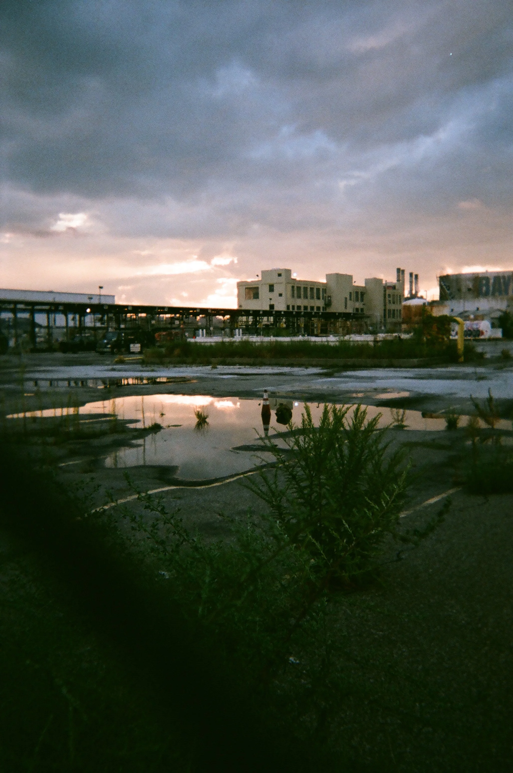 016_Bushwick_Inlet_Katherine_Coates.JPG