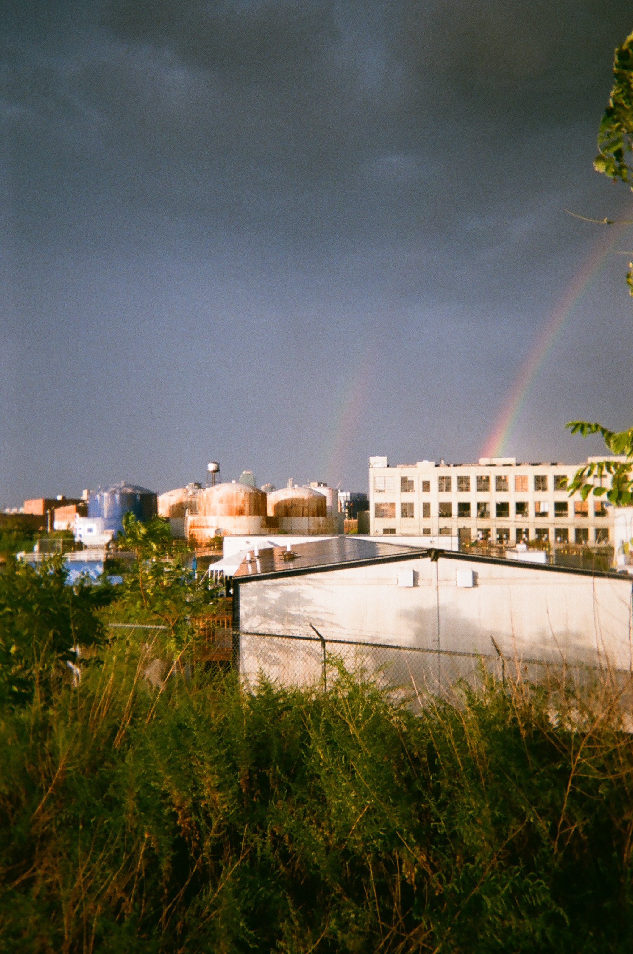 019_Bushwick_Inlet_Katherine_Coates.JPG