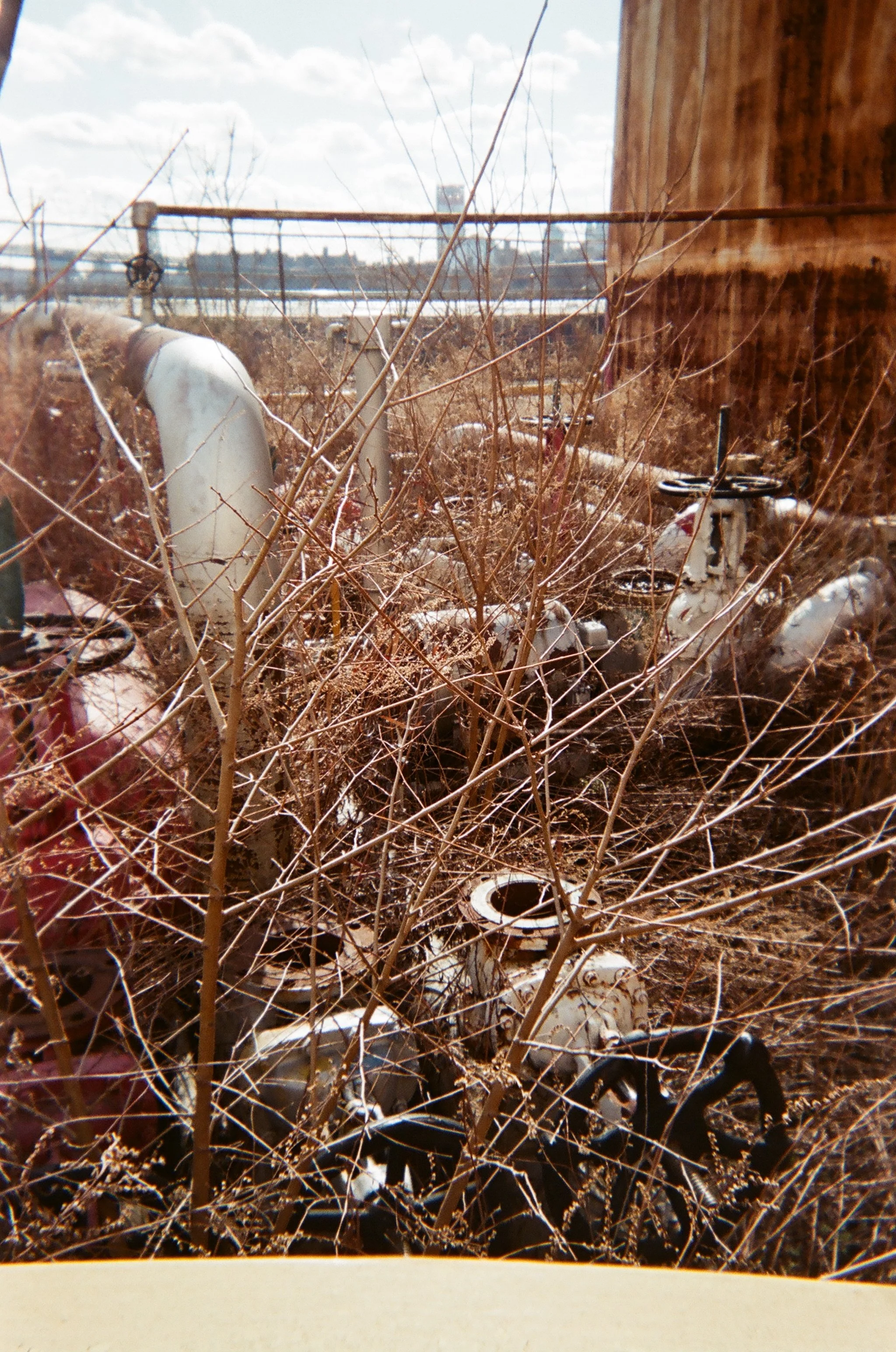 010_Bushwick_Inlet_Katherine_Coates.JPG