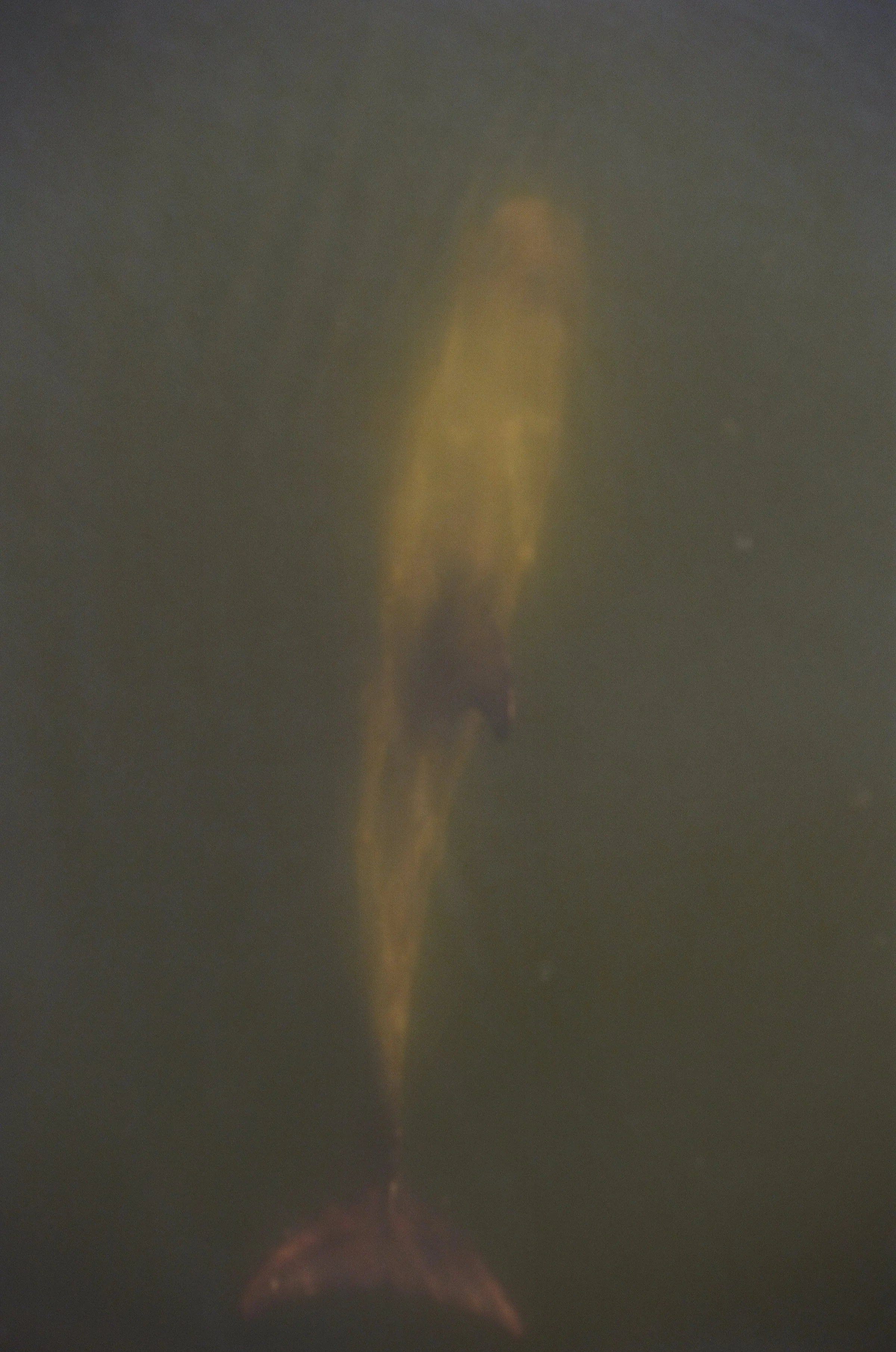 A Stranded Cycle of Life