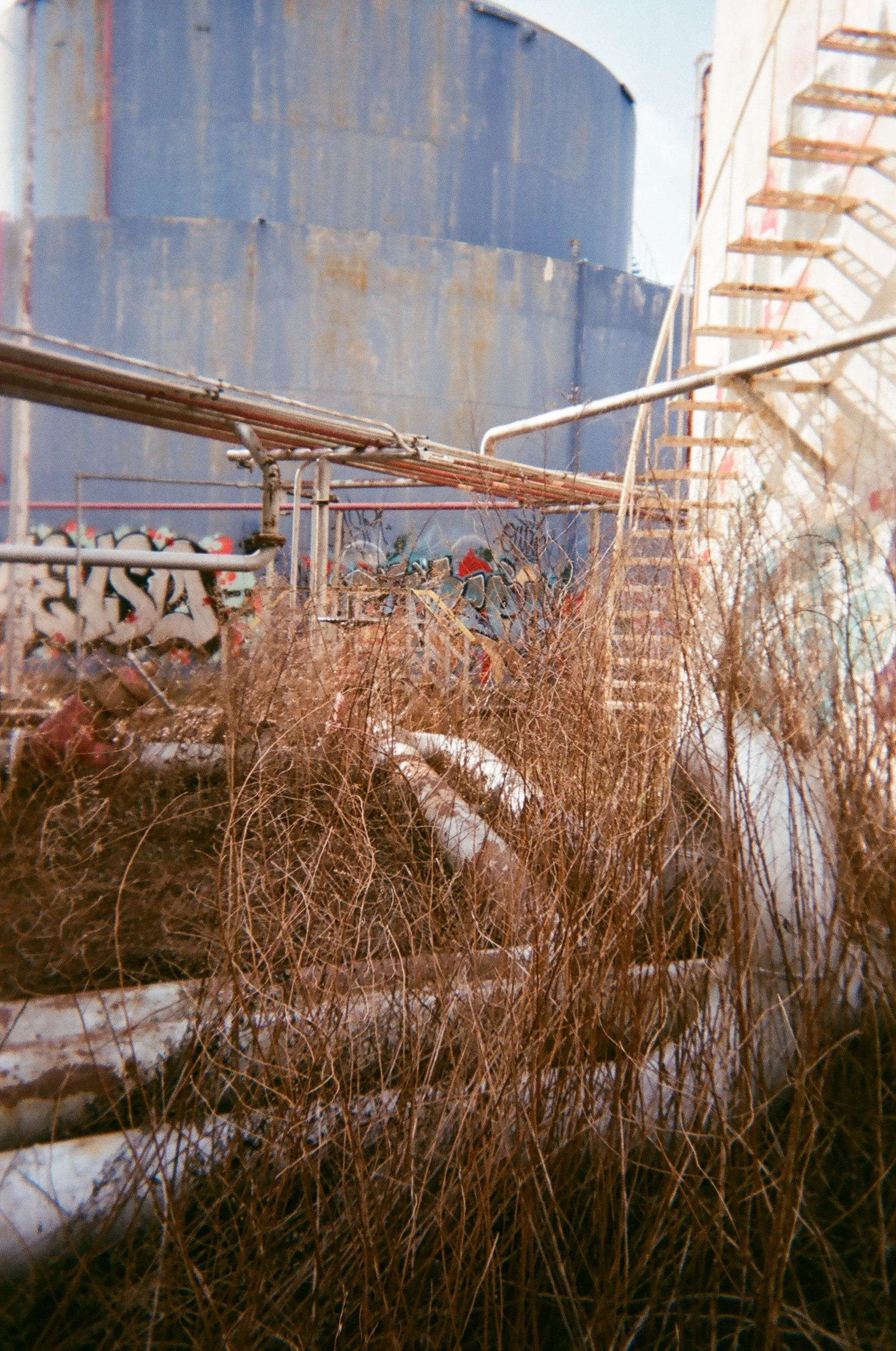 09_Bushwick_Inlet_Katherine_Coates.JPG