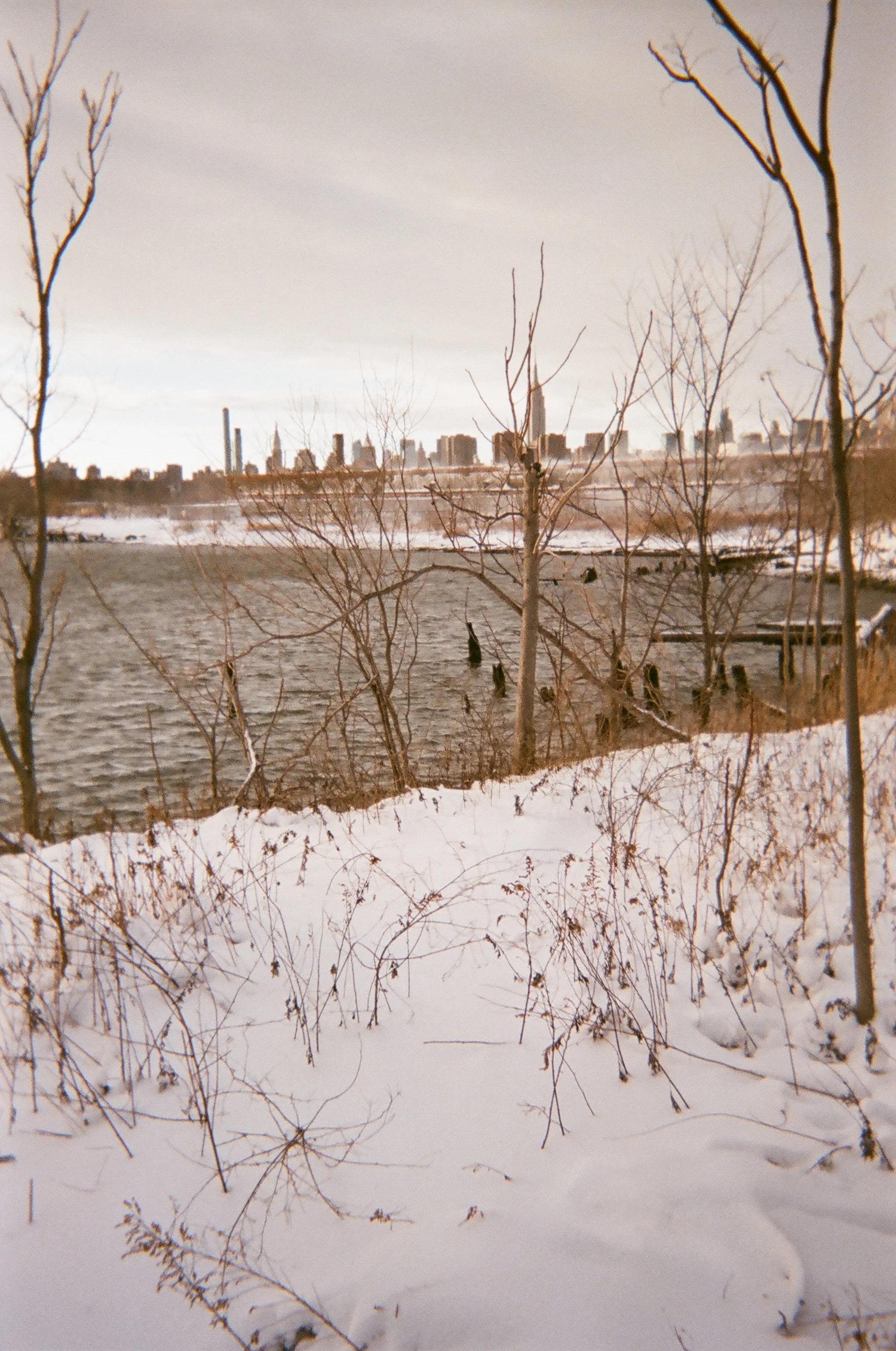 017_Bushwick_Inlet_Katherine_Coates.JPG
