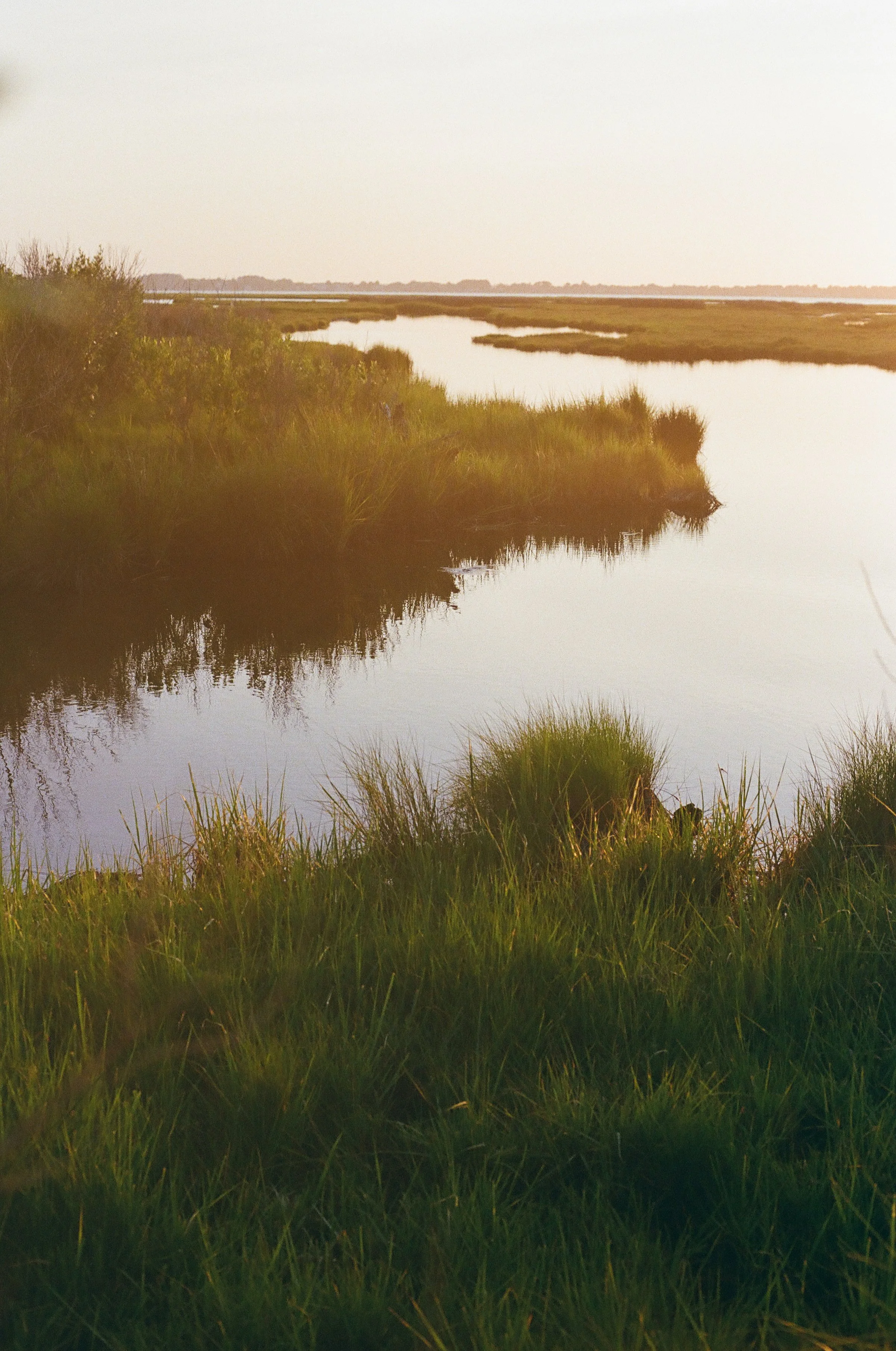 The Brightest Path of No Return