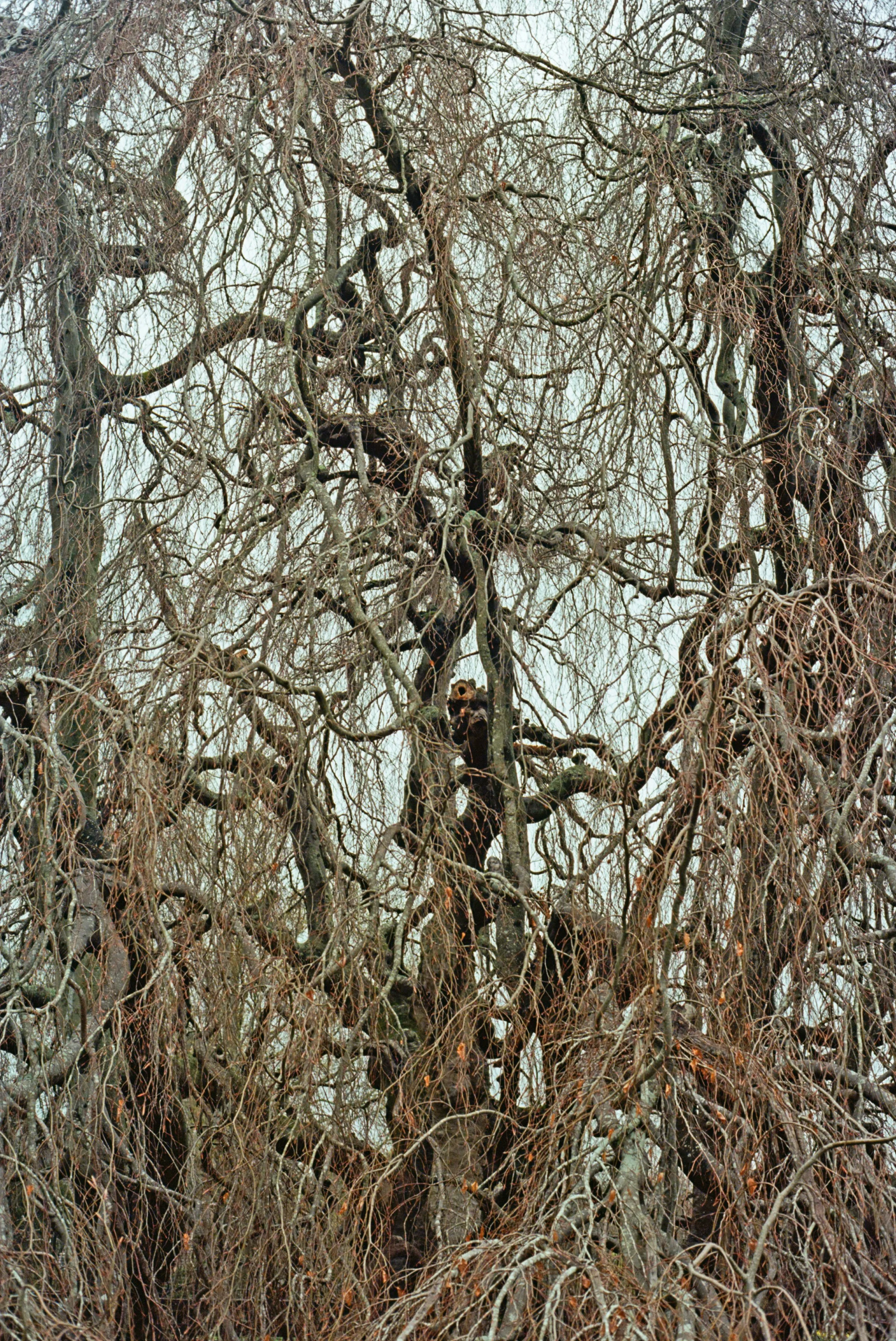 Support To Exist and the Other Way Around