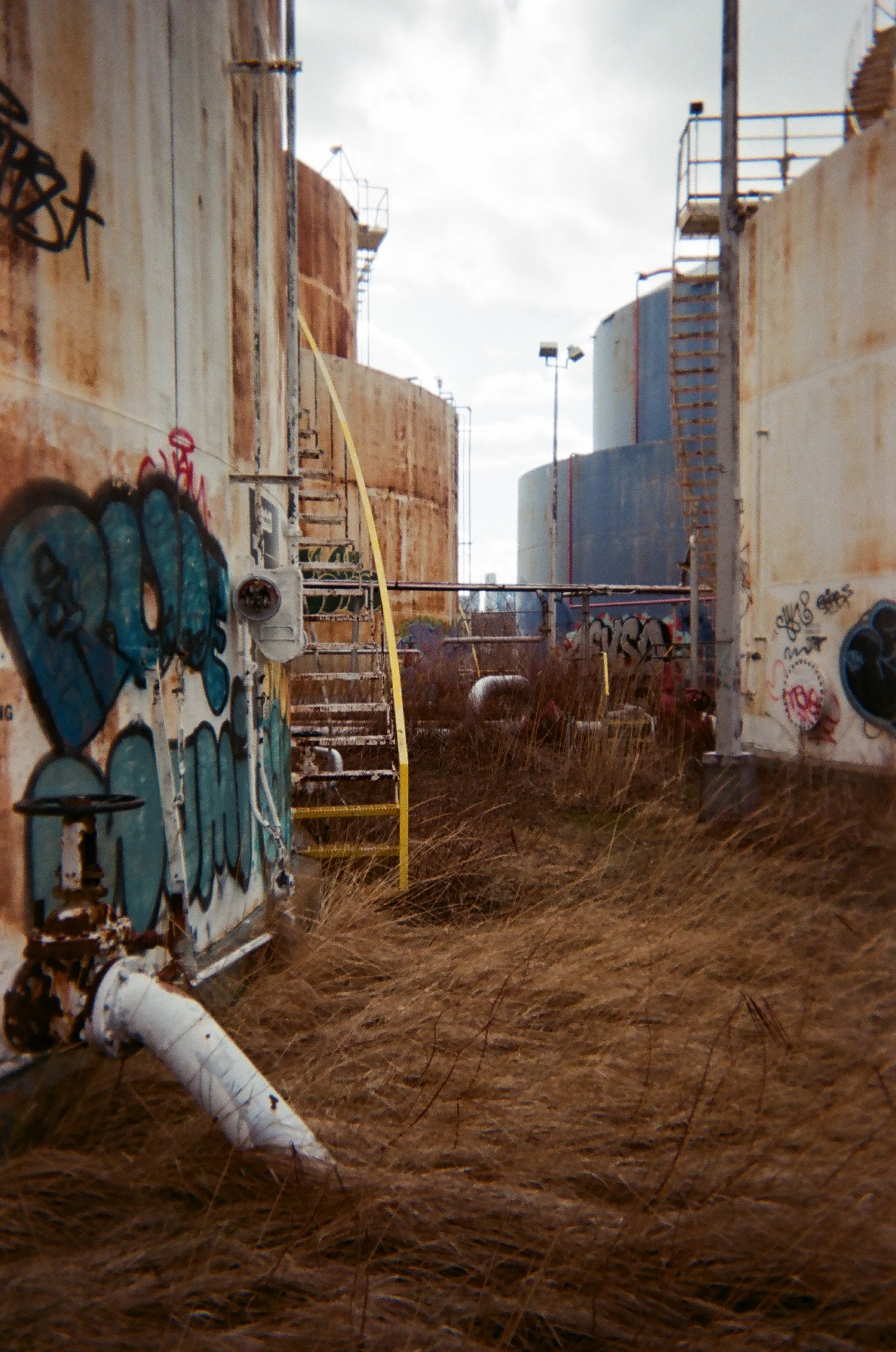 02_Bushwick_Inlet_Katherine_Coates.JPG