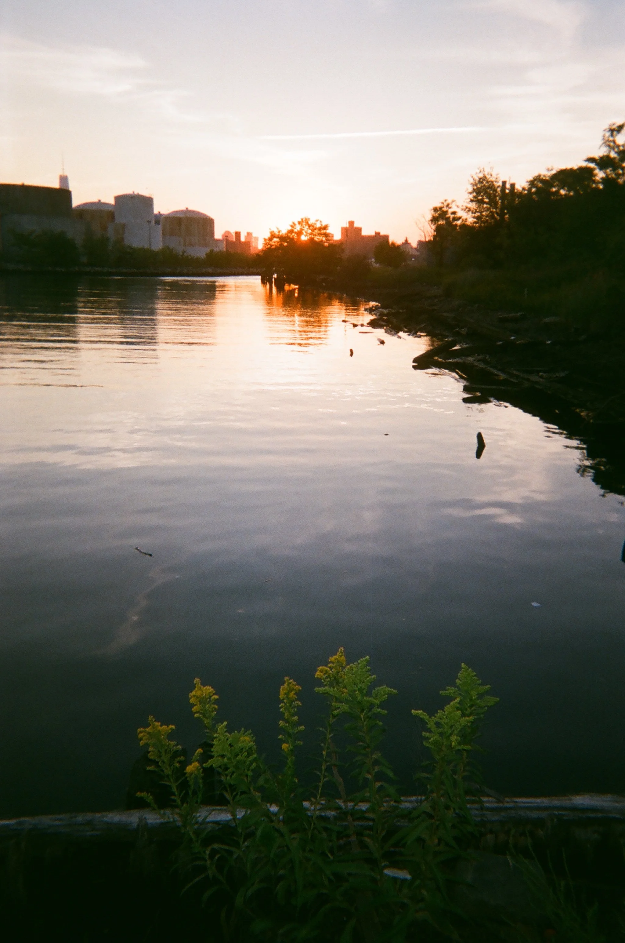 022_Bushwick_Inlet_Katherine_Coates.JPG