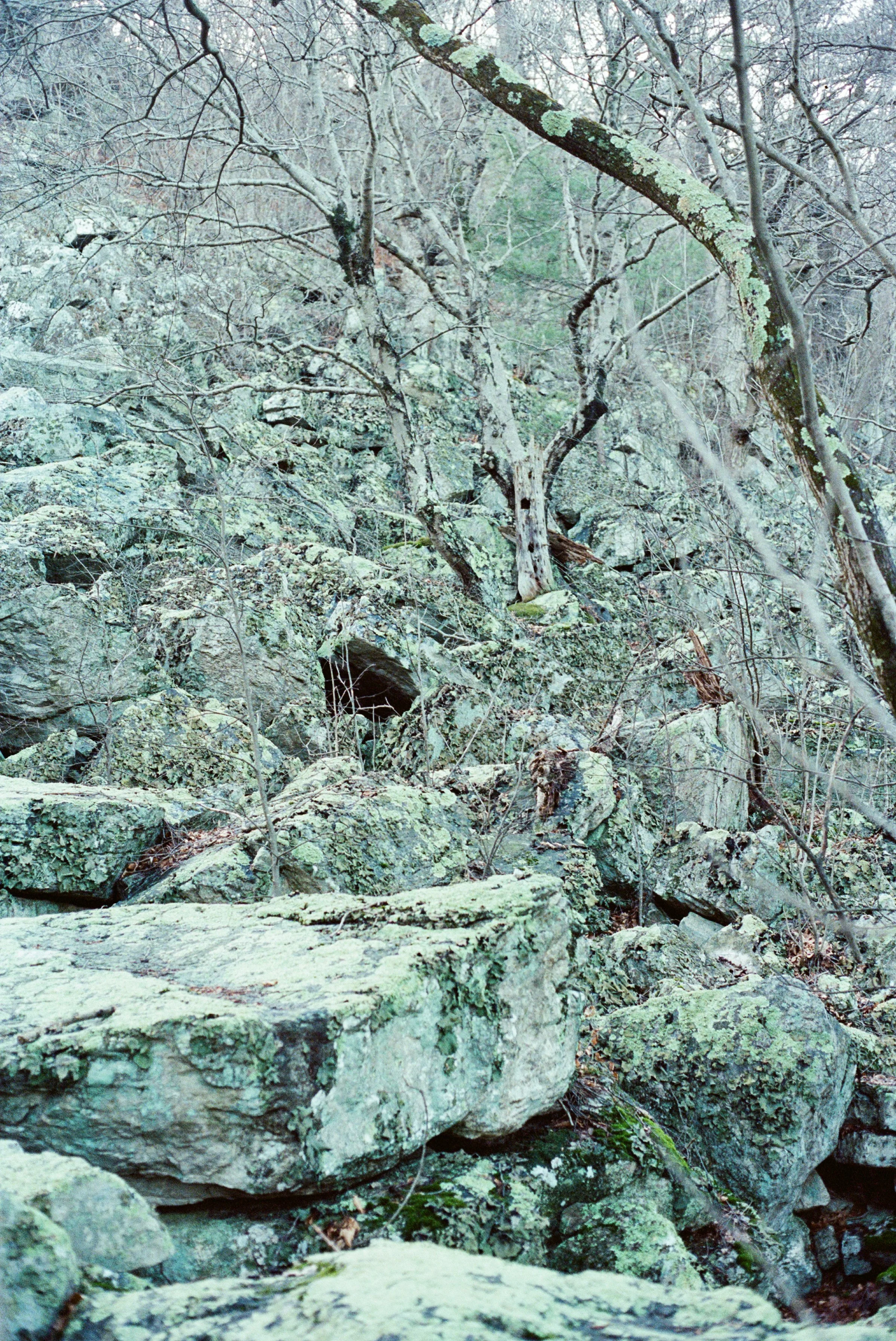 A Tranquil Climb On My Own to the Pinnacle of B Trail