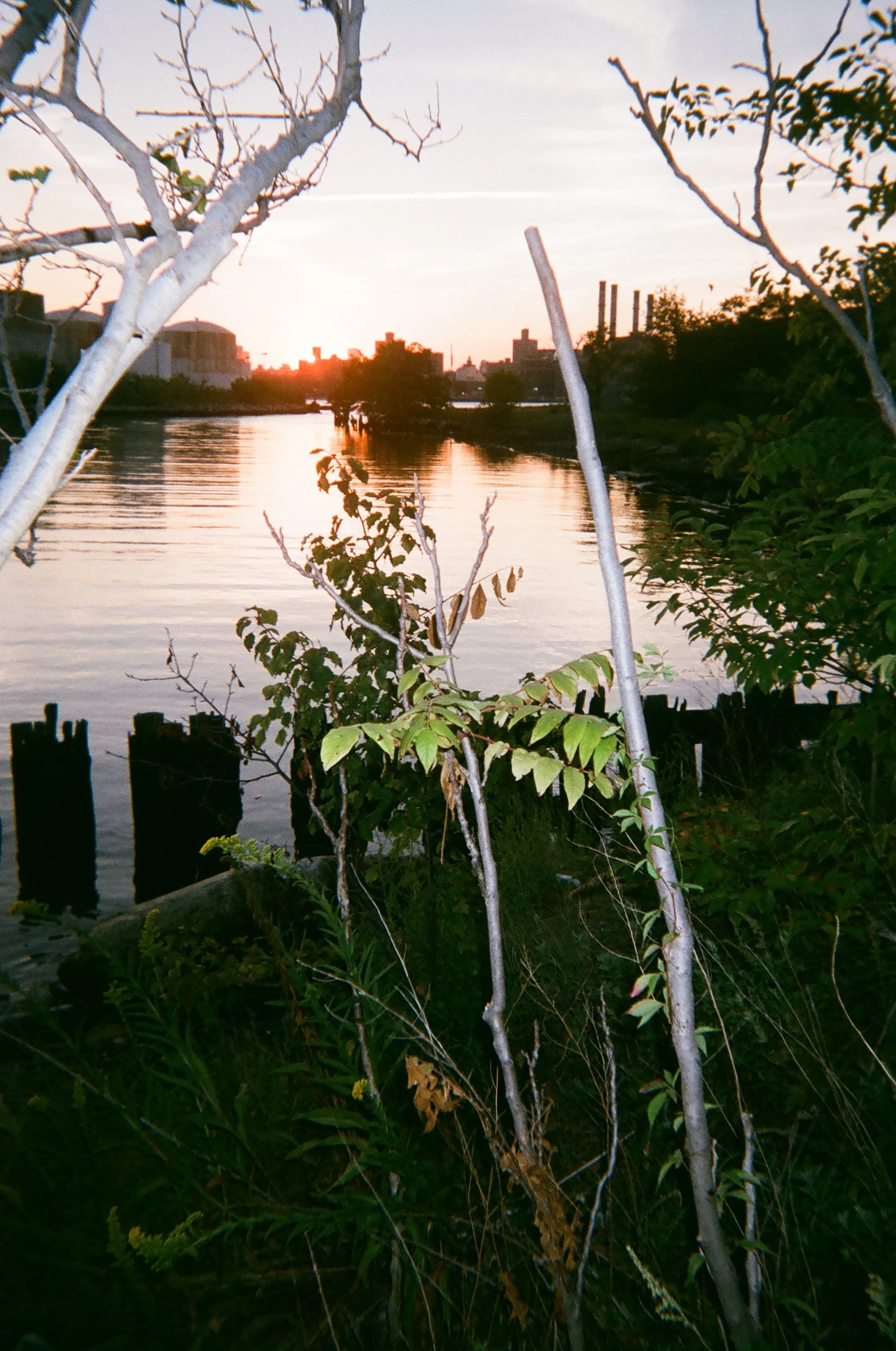 023_Bushwick_Inlet_Katherine_Coates.JPG