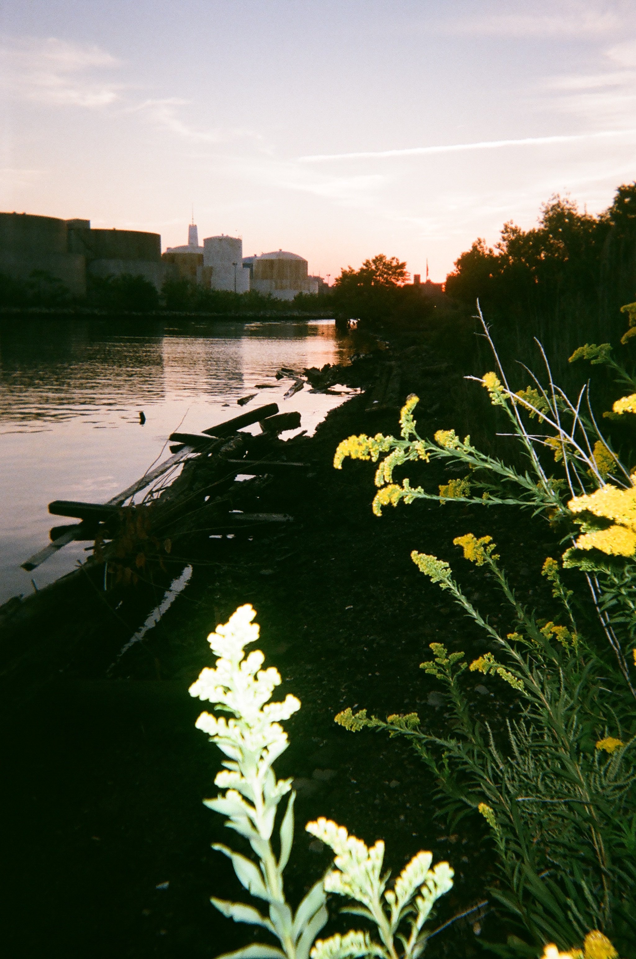 025_Bushwick_Inlet_Katherine_Coates.JPG