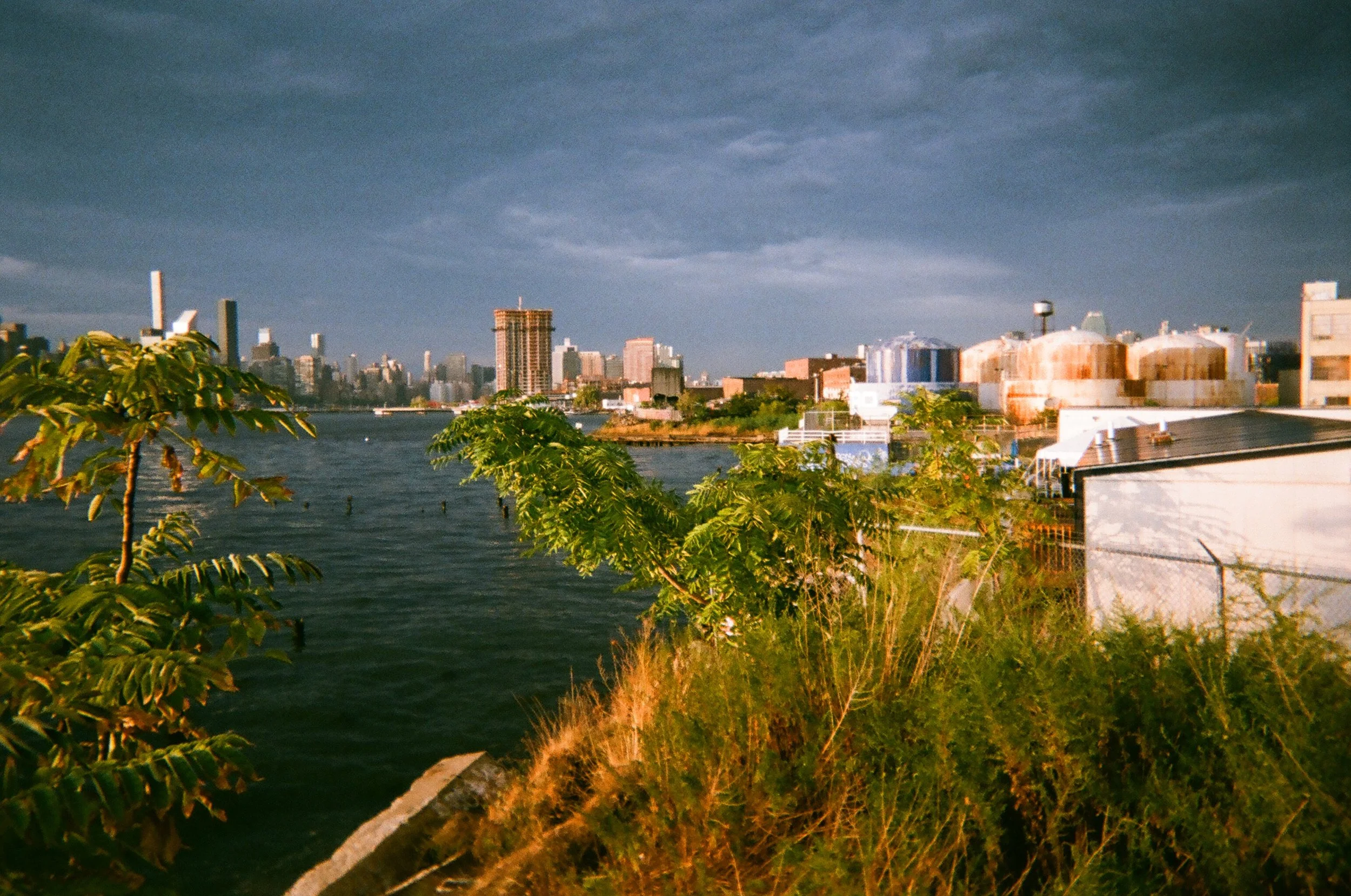020_Bushwick_Inlet_Katherine_Coates.JPG