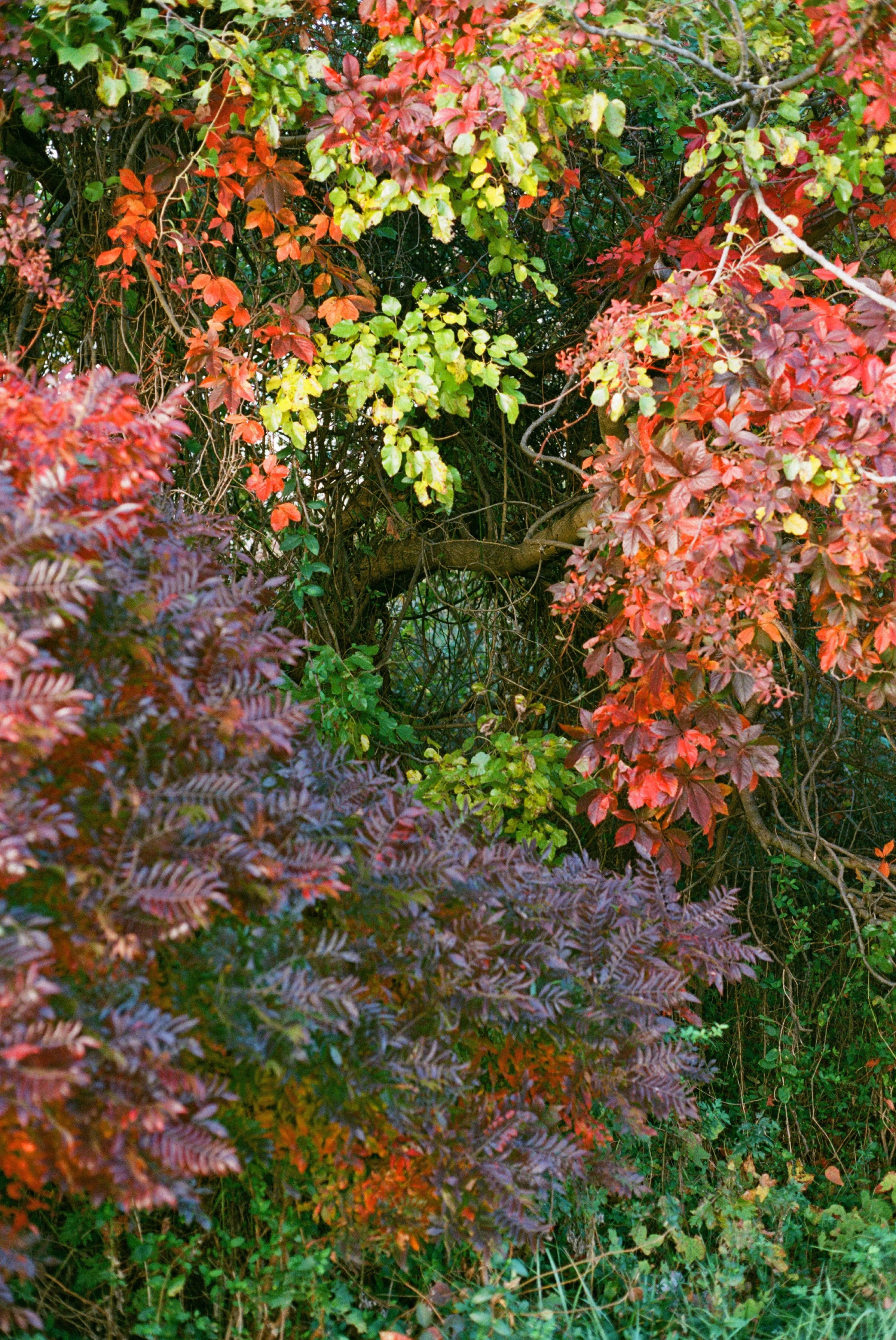 The Changing Values of Deceptive Impermanence