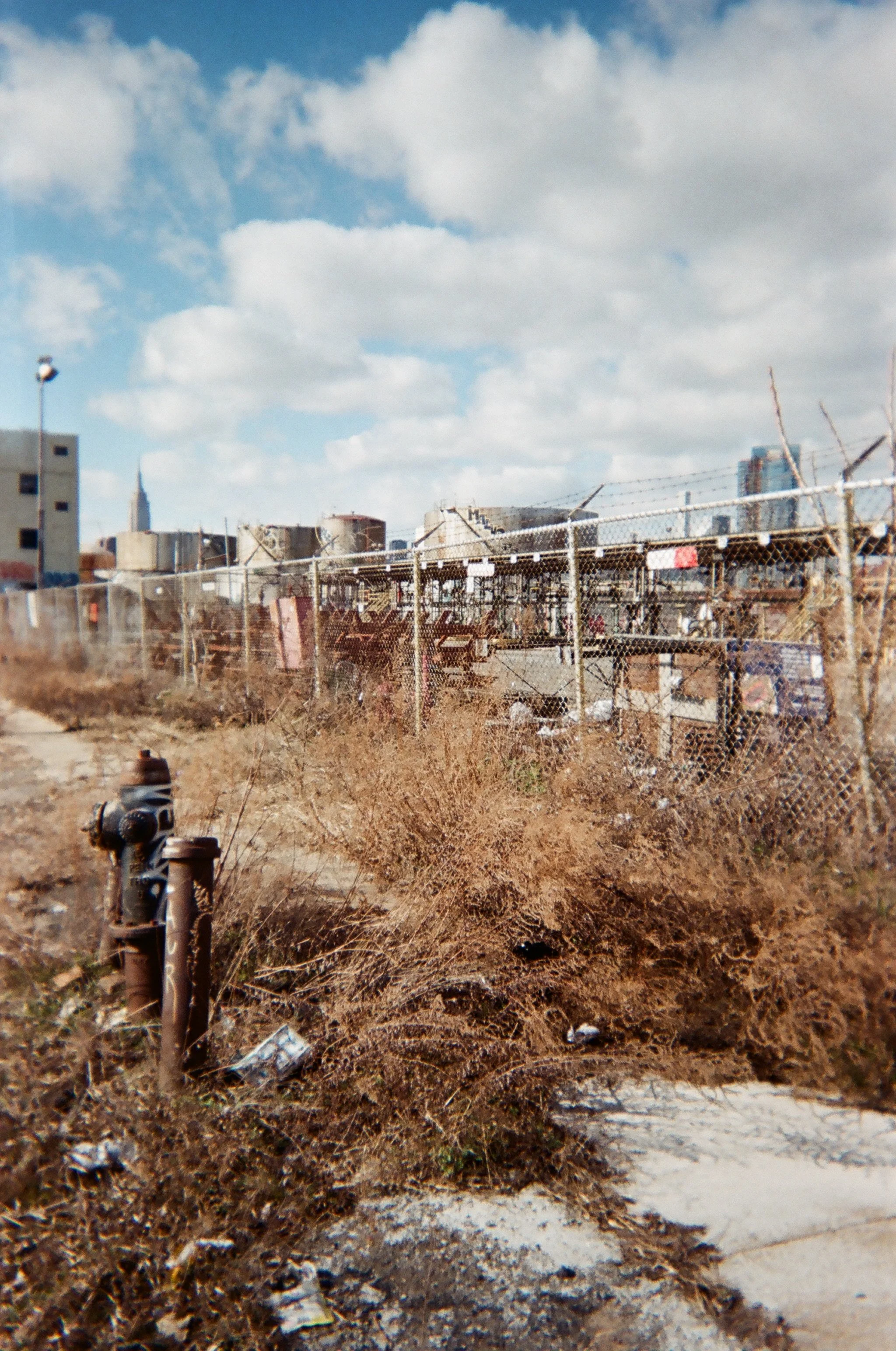 015_Bushwick_Inlet_Katherine_Coates.JPG