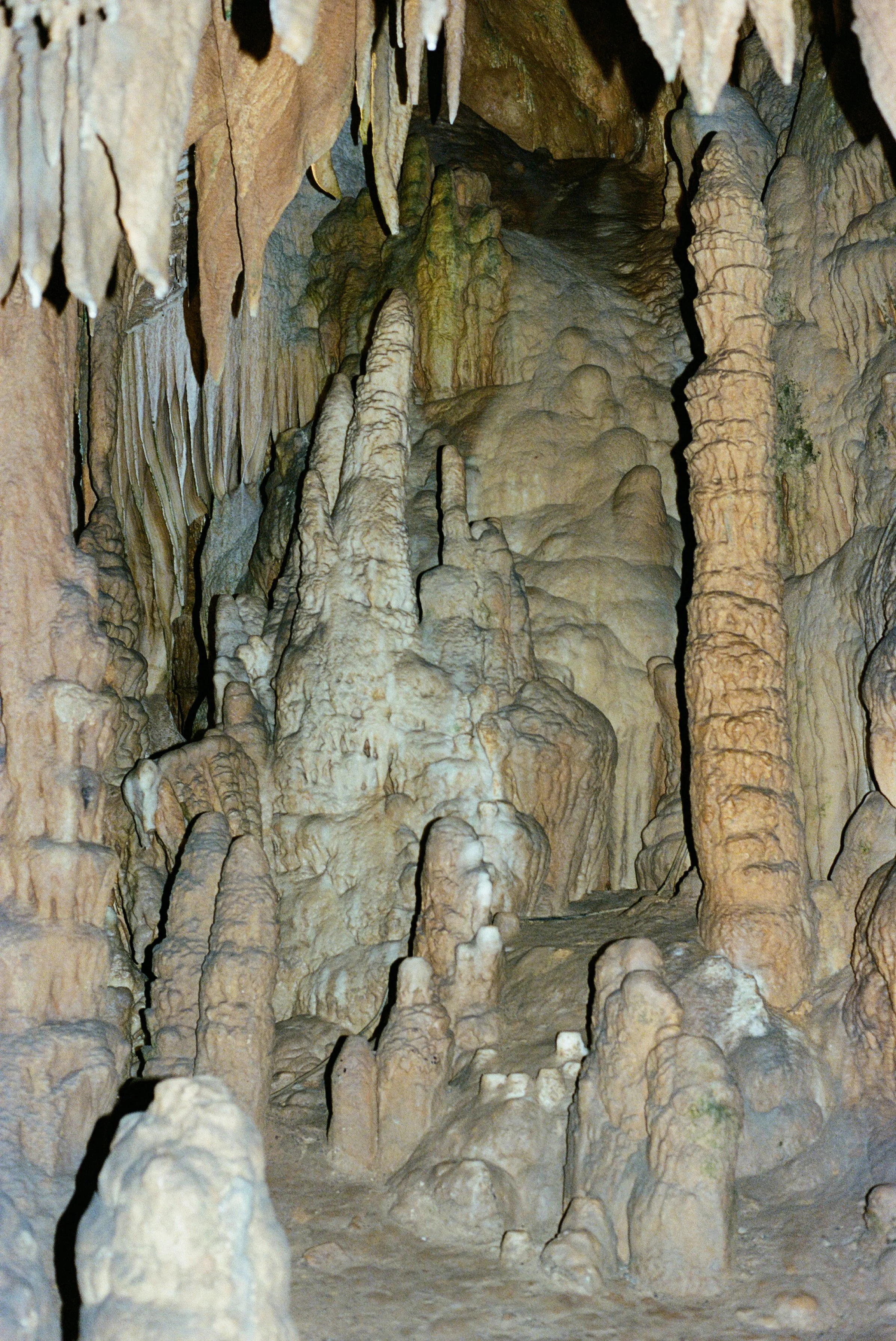 Growing Up From The Drip Down