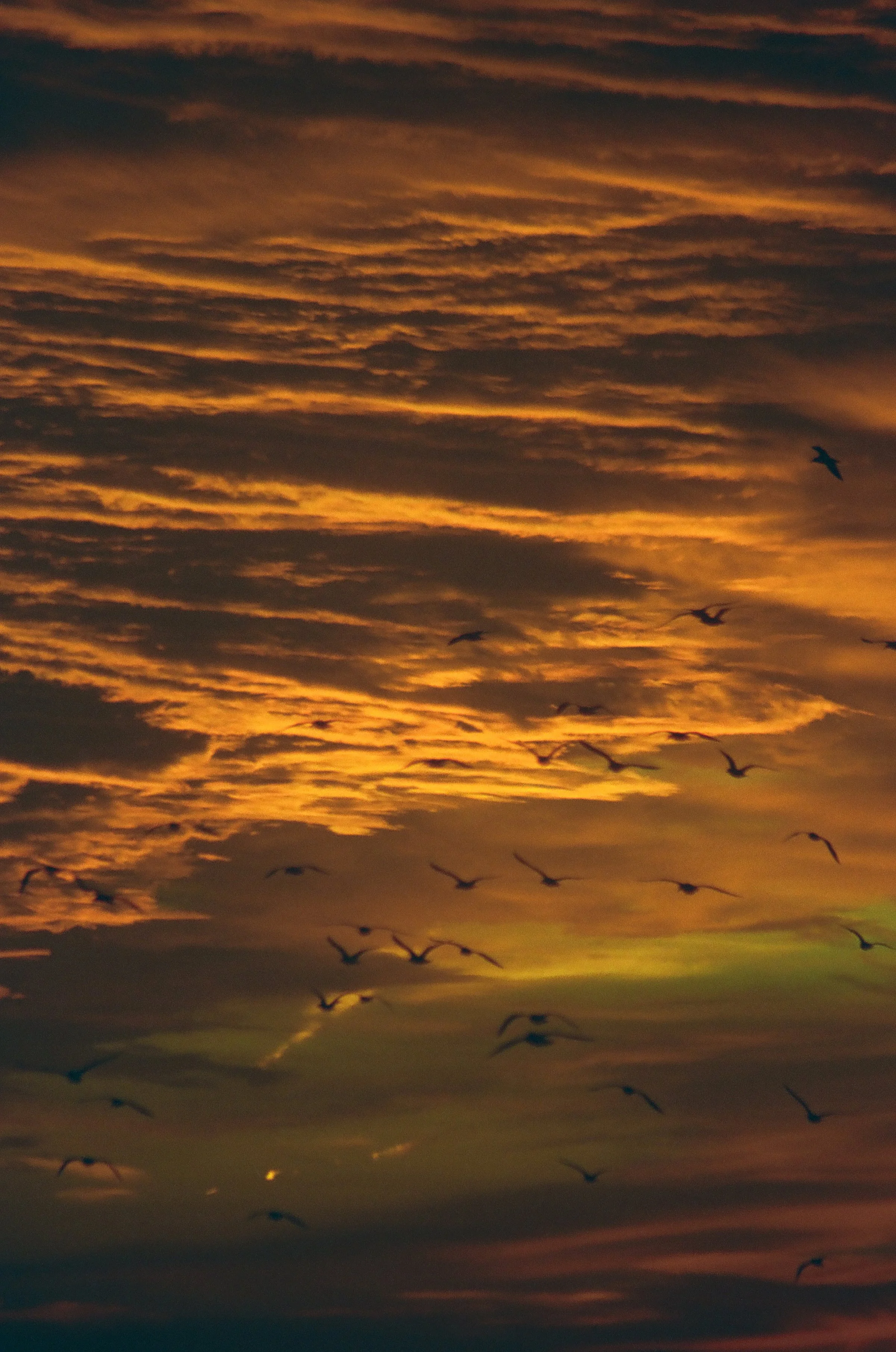 For Those Intending to Fly Off Into the Sunset 