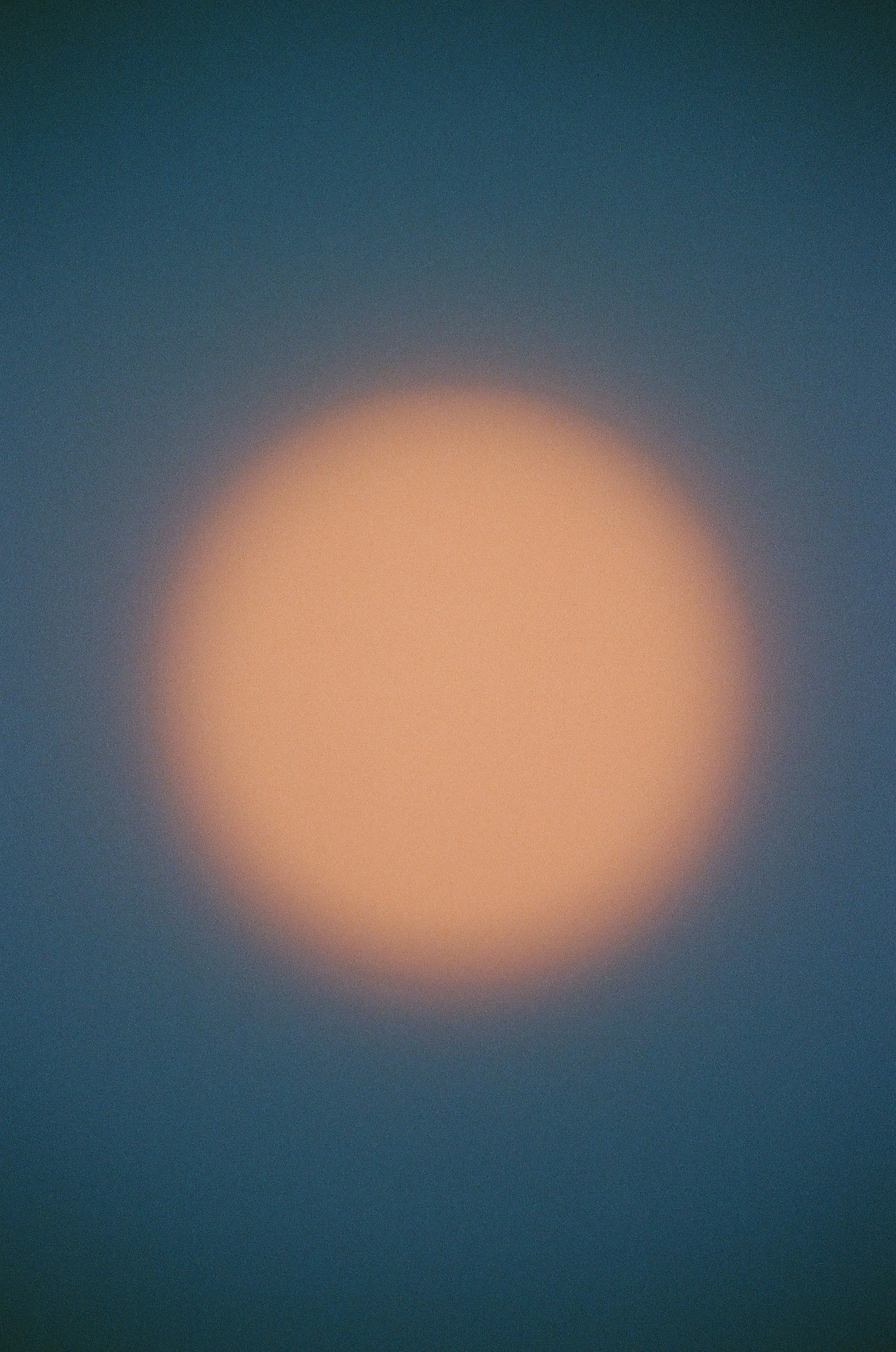 Learn All Her Edges In Every Light