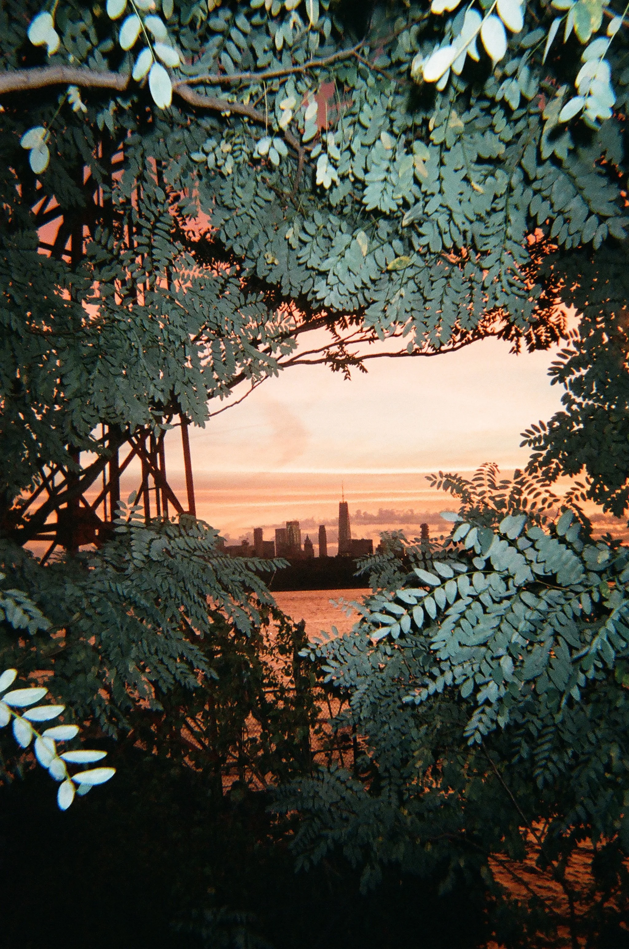 The Trade of Potable Commodity