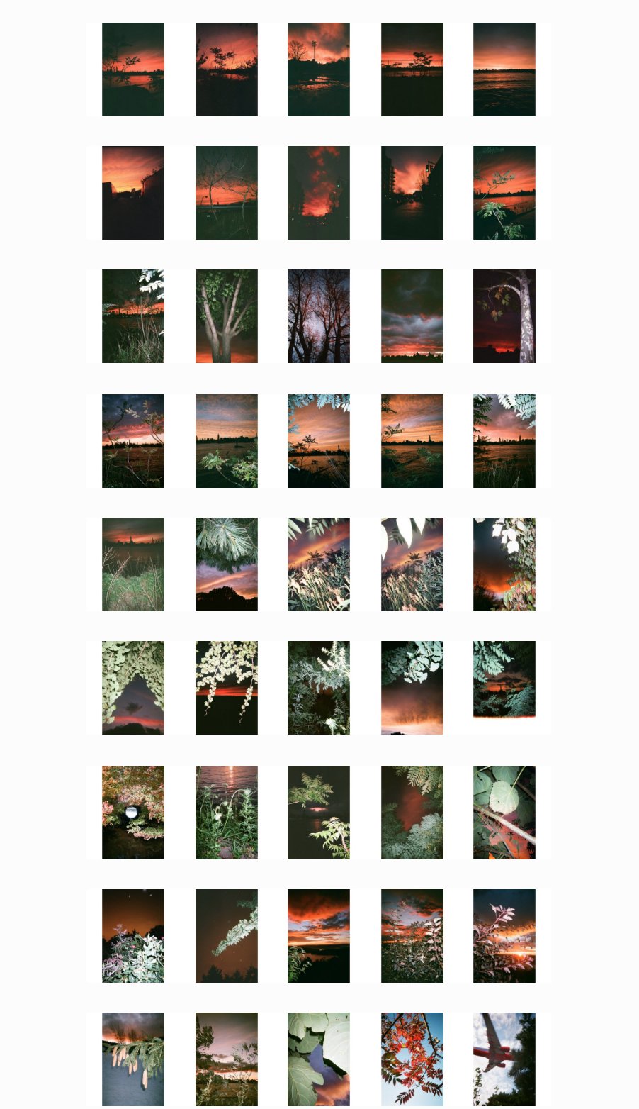 Screen Shot 2018-02-25 at 12.46.53 PM copy.jpg