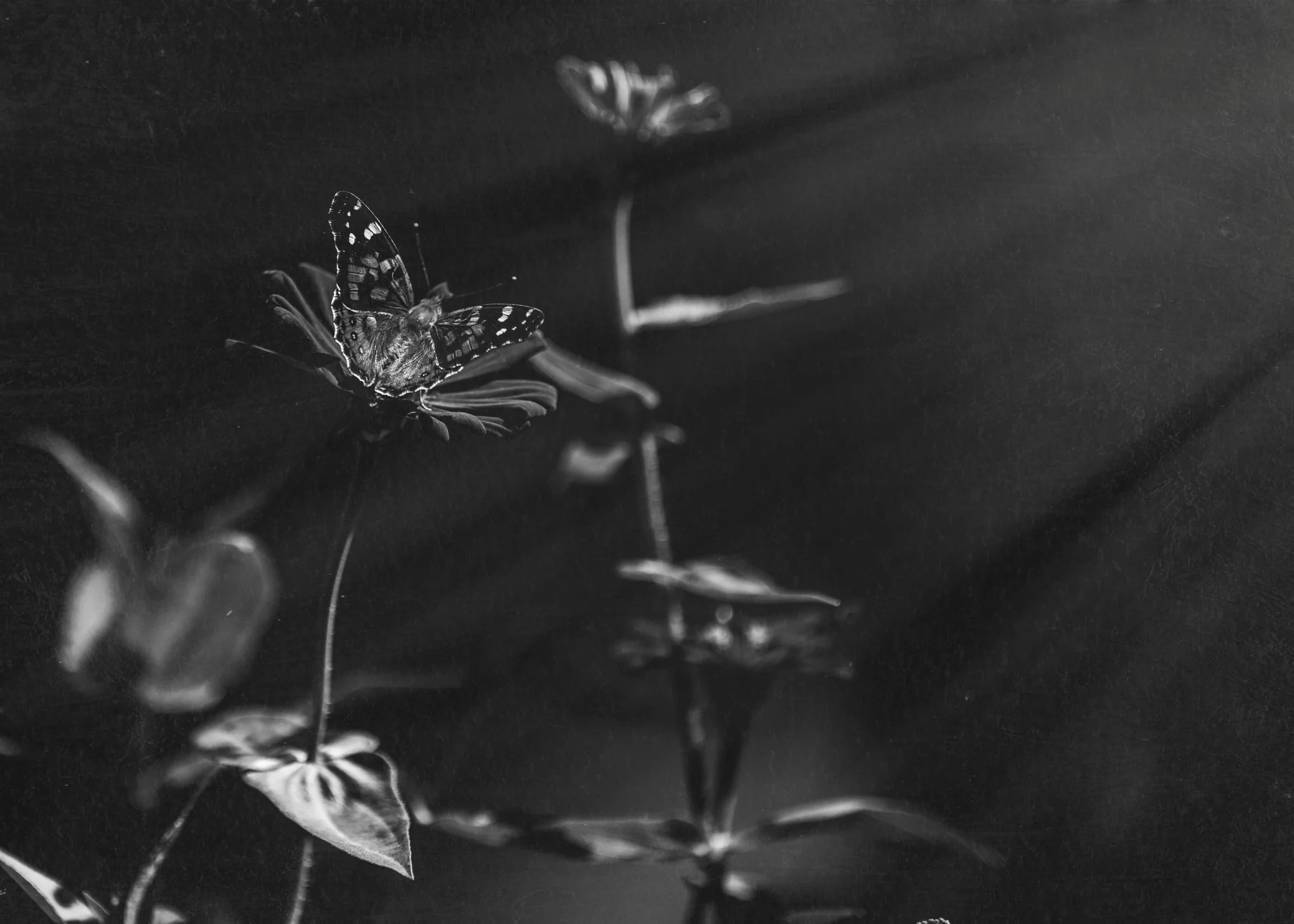 8X7A6234-Edit-Edit.jpg