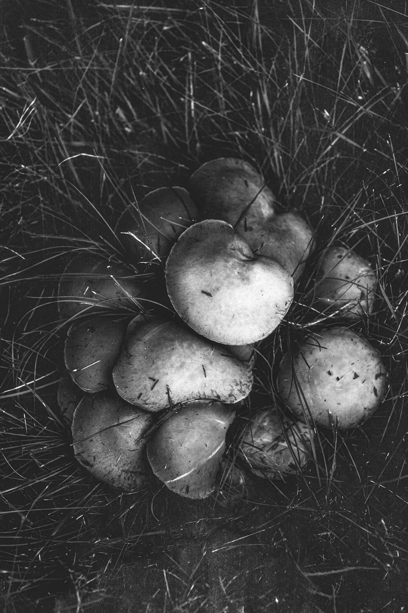 8X7A6898-Edit-Edit.jpg