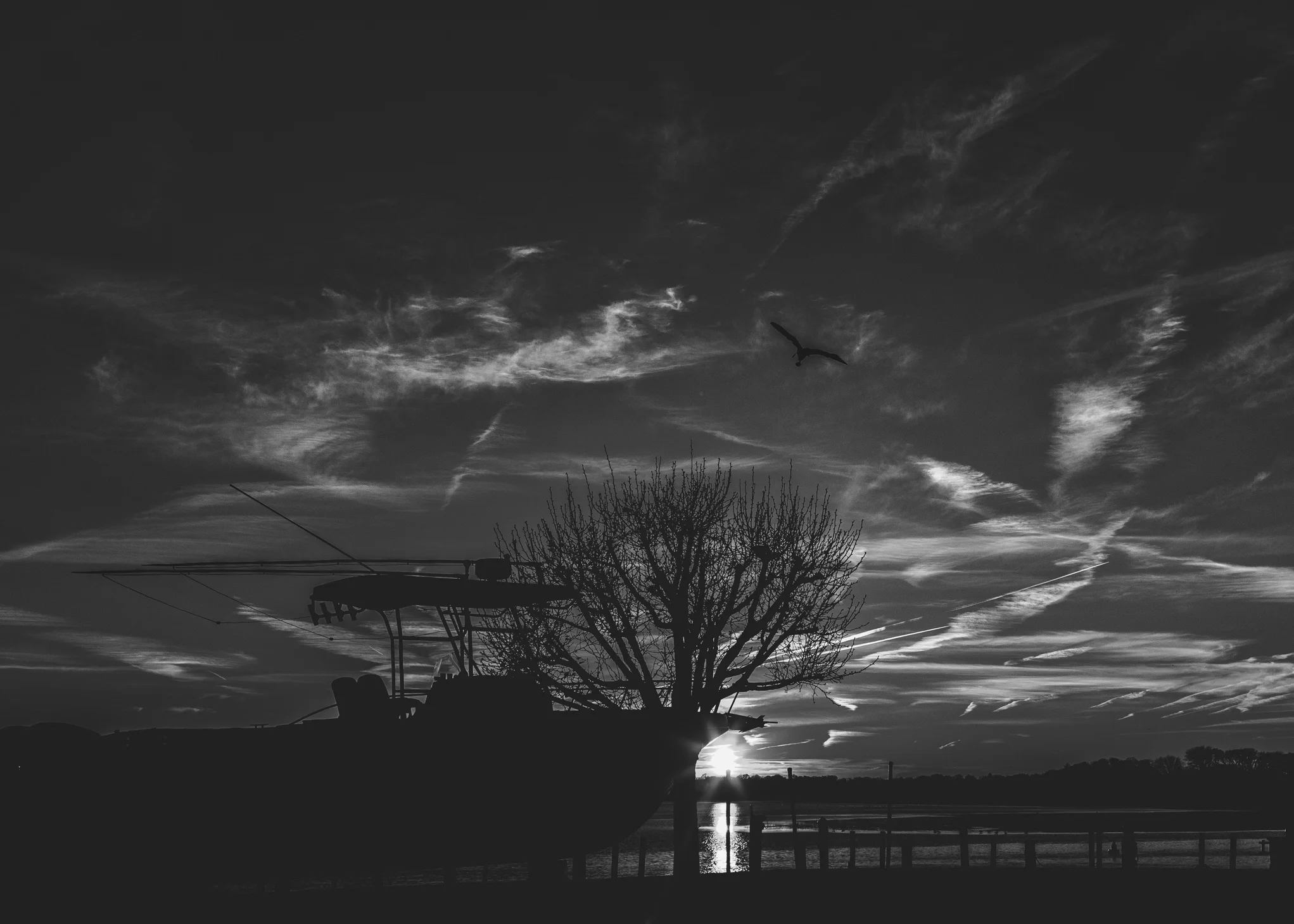 8X7A8164-Edit.jpg