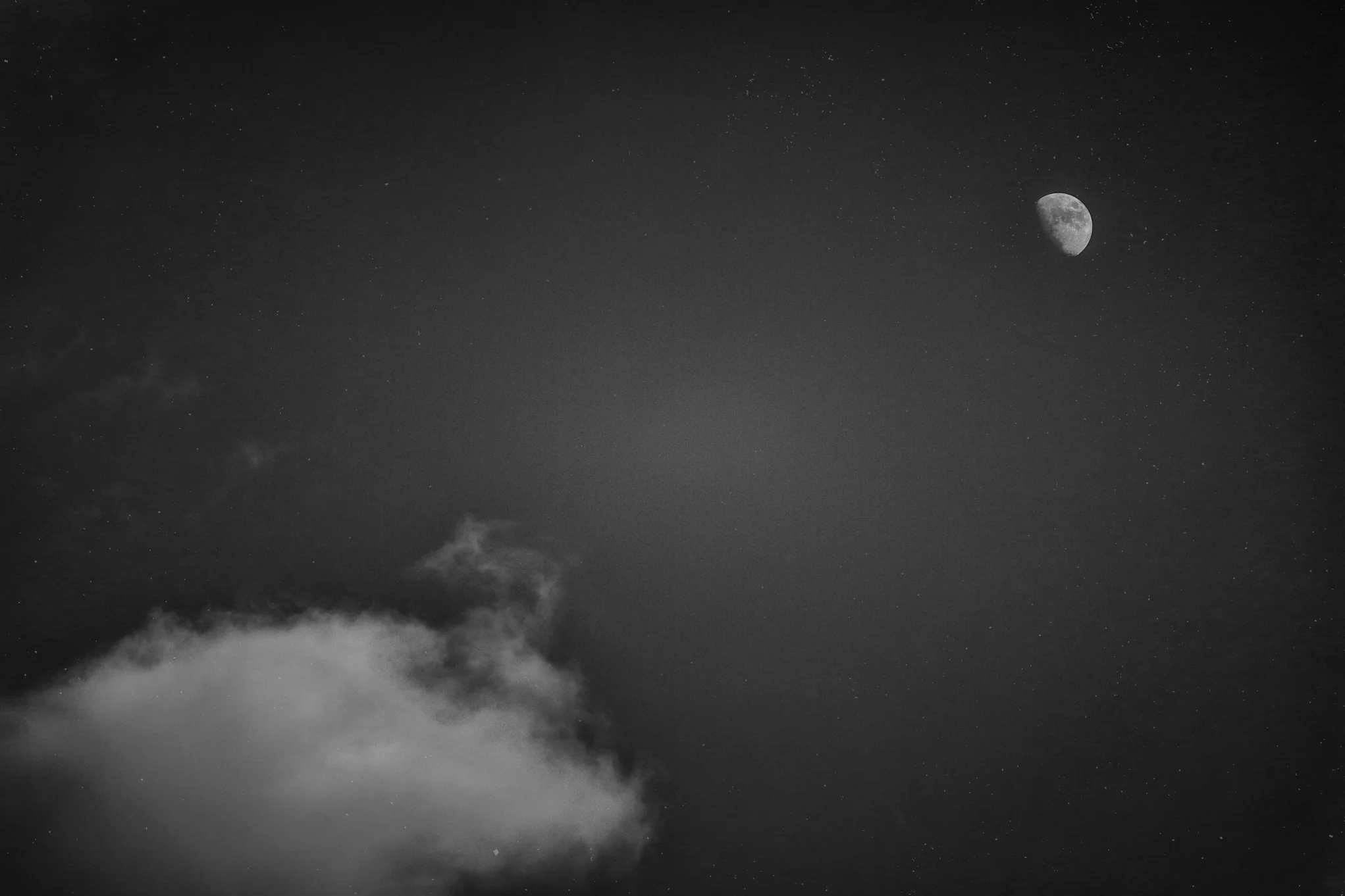 8X7A8240-Edit-Edit-Edit.jpg