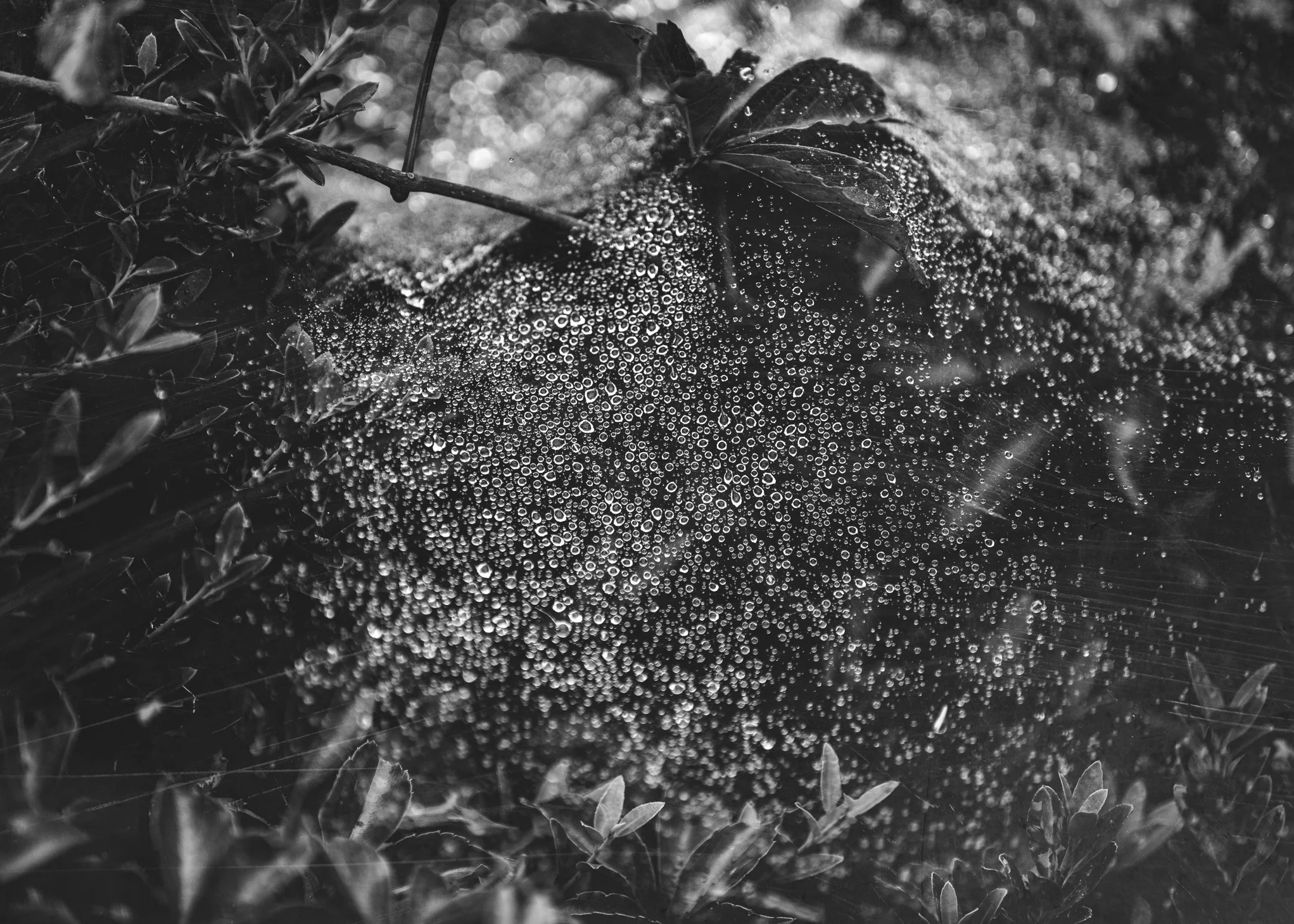 8X7A6510-Edit-Edit.jpg