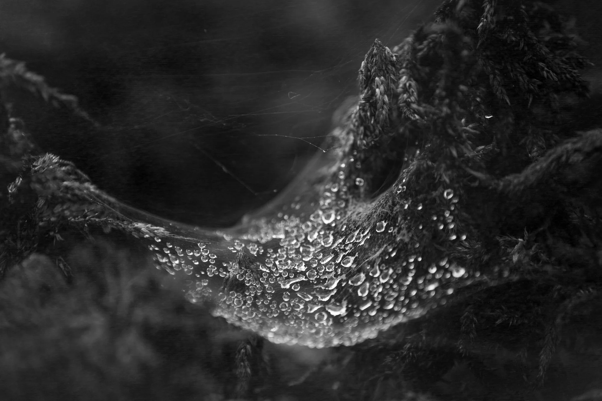 8X7A6182-Edit.jpg