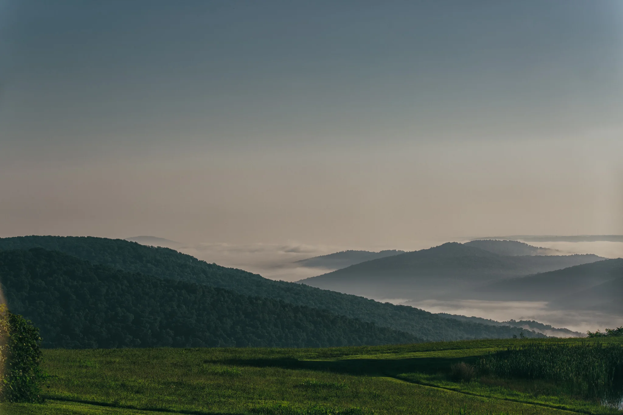 8X7A2780-Edit.jpg