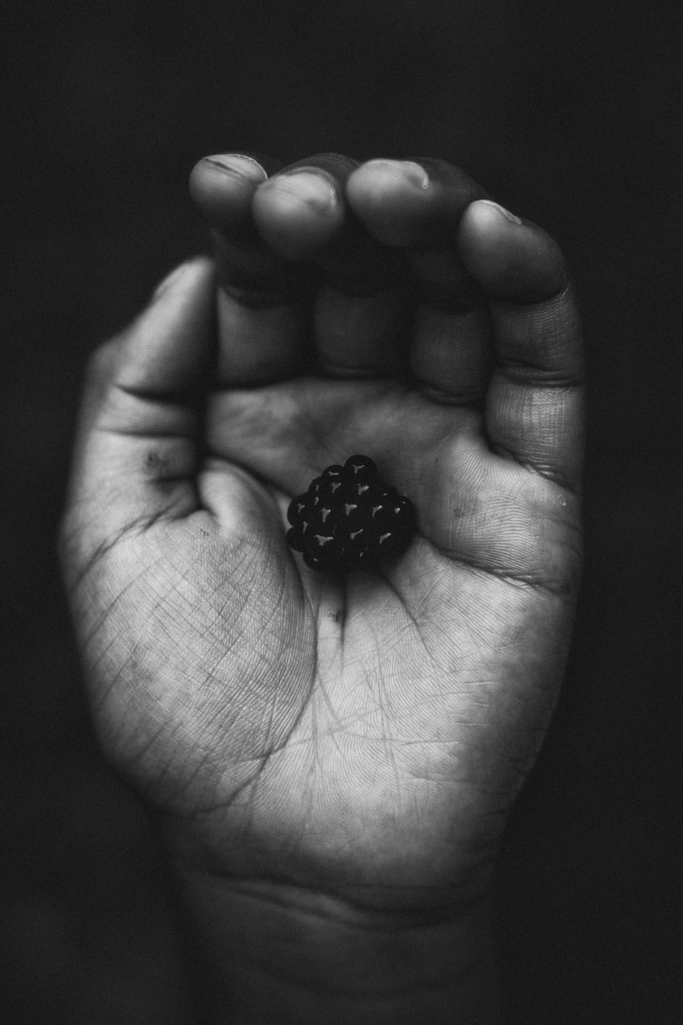 8X7A2141-Edit.jpg