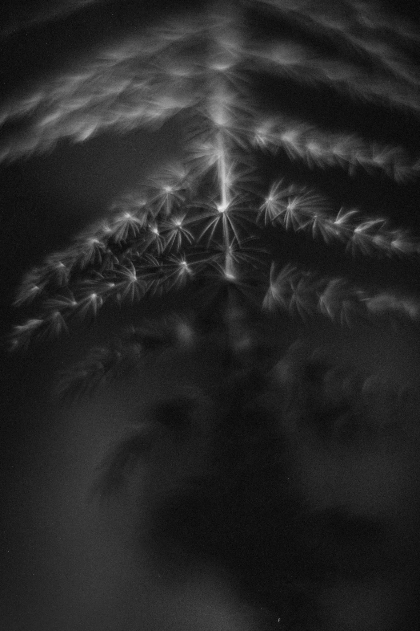 8X7A4249-Edit-Edit.jpg